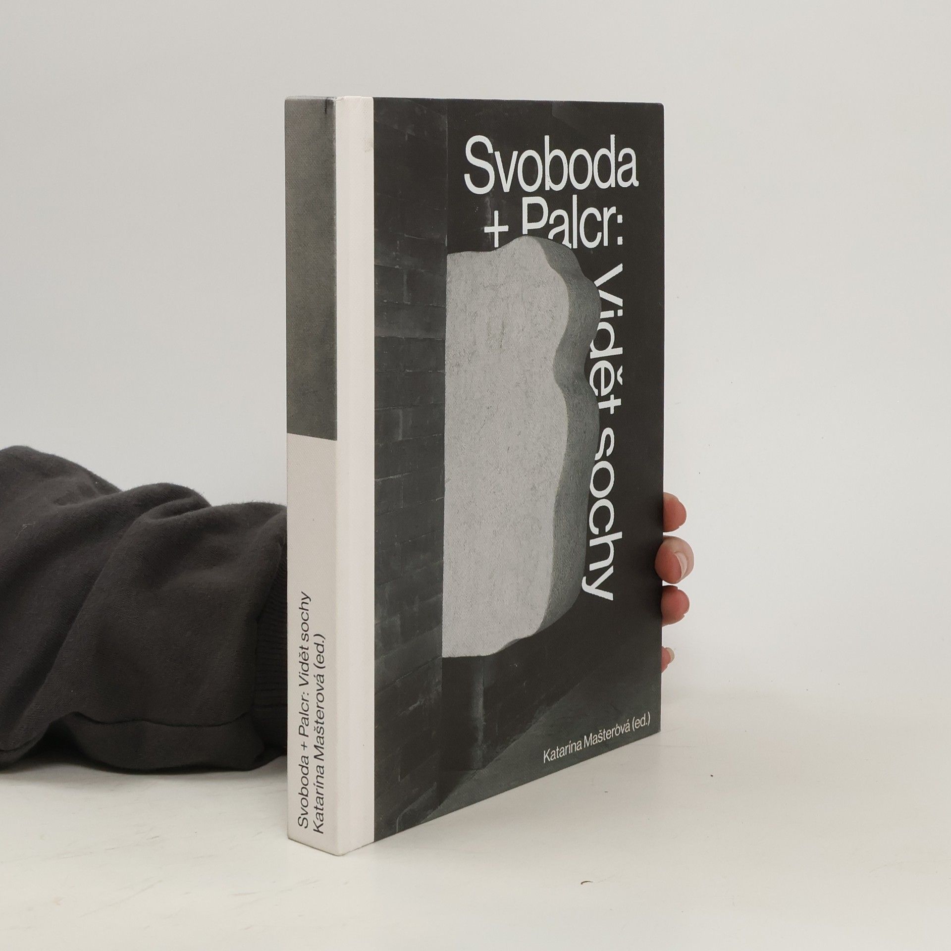 Jan Svoboda Svoboda + Palcr : vidět sochy