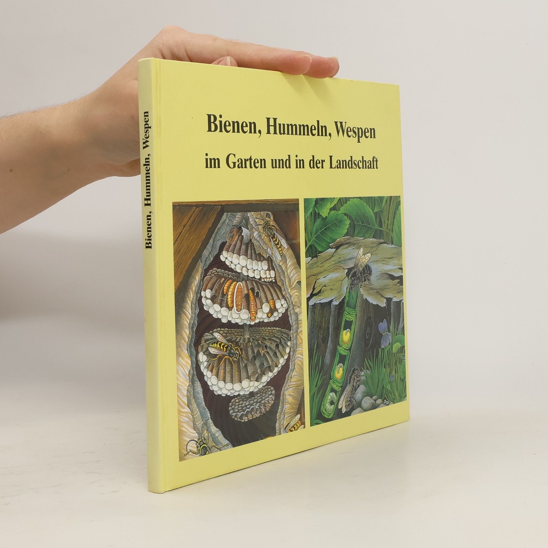Helmut Hintermeier Bienen, Hummeln, Wespen im Garten und in der Landschaft