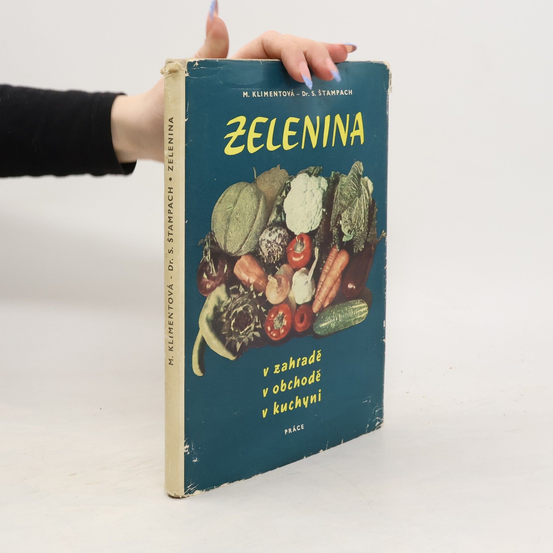 M. Klimentová Zelenina v zahradě, v obchodě, v kuchyni