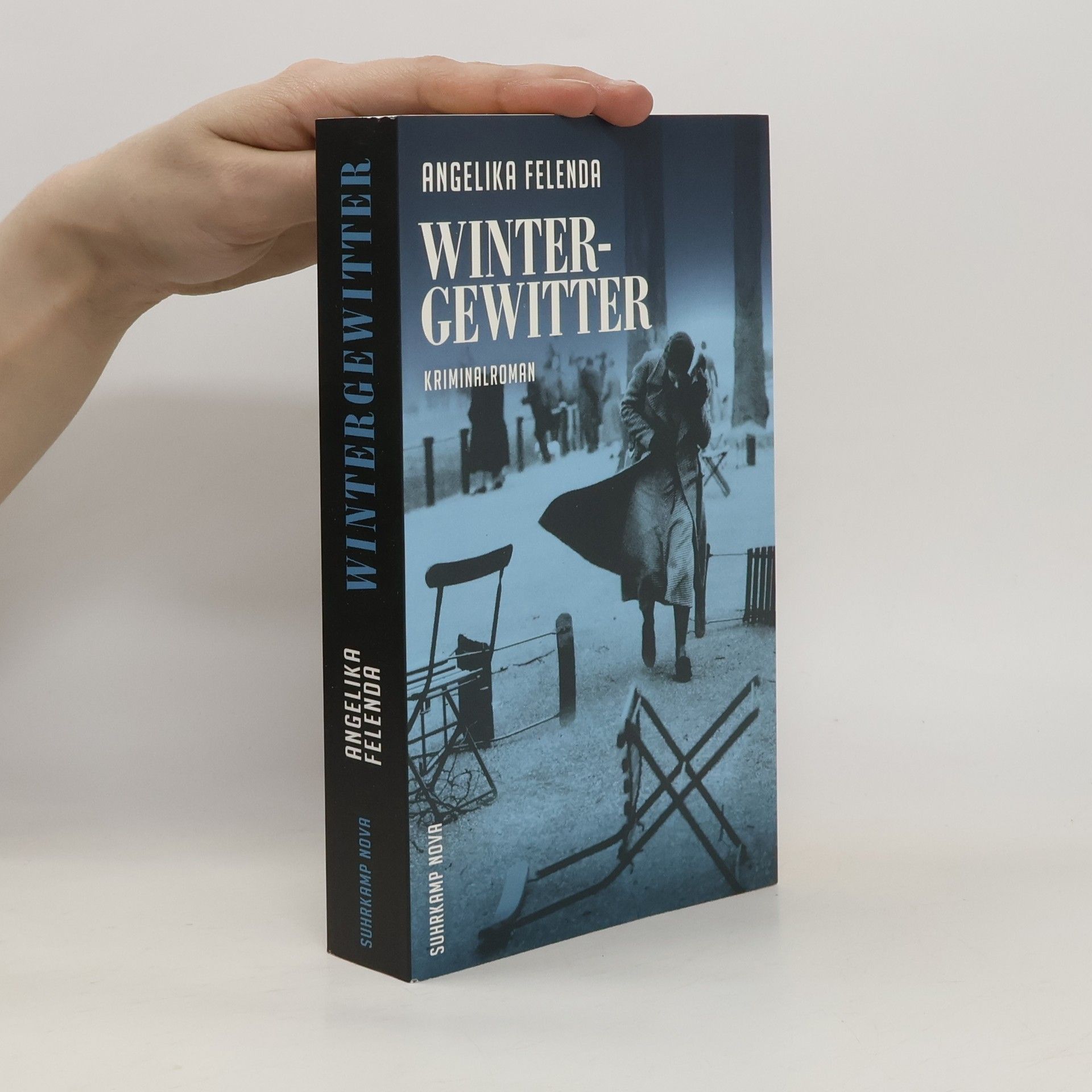 Angelika Felenda Wintergewitter
