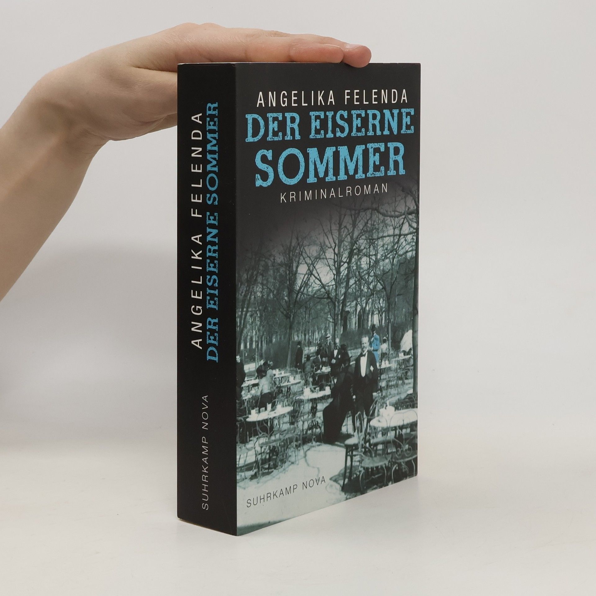 Angelika Felenda Der eiserne Sommer