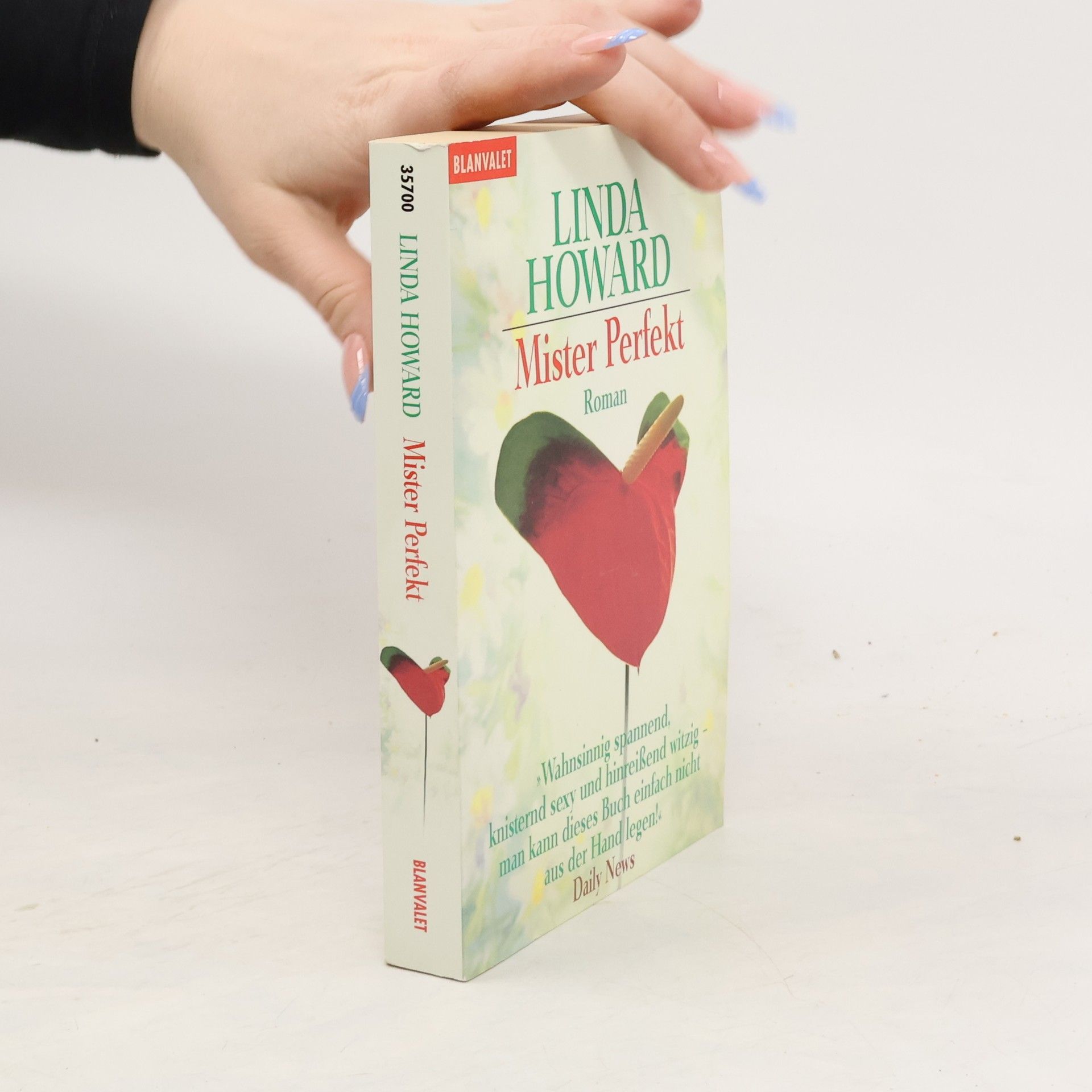 Linda Howard Mister Perfekt