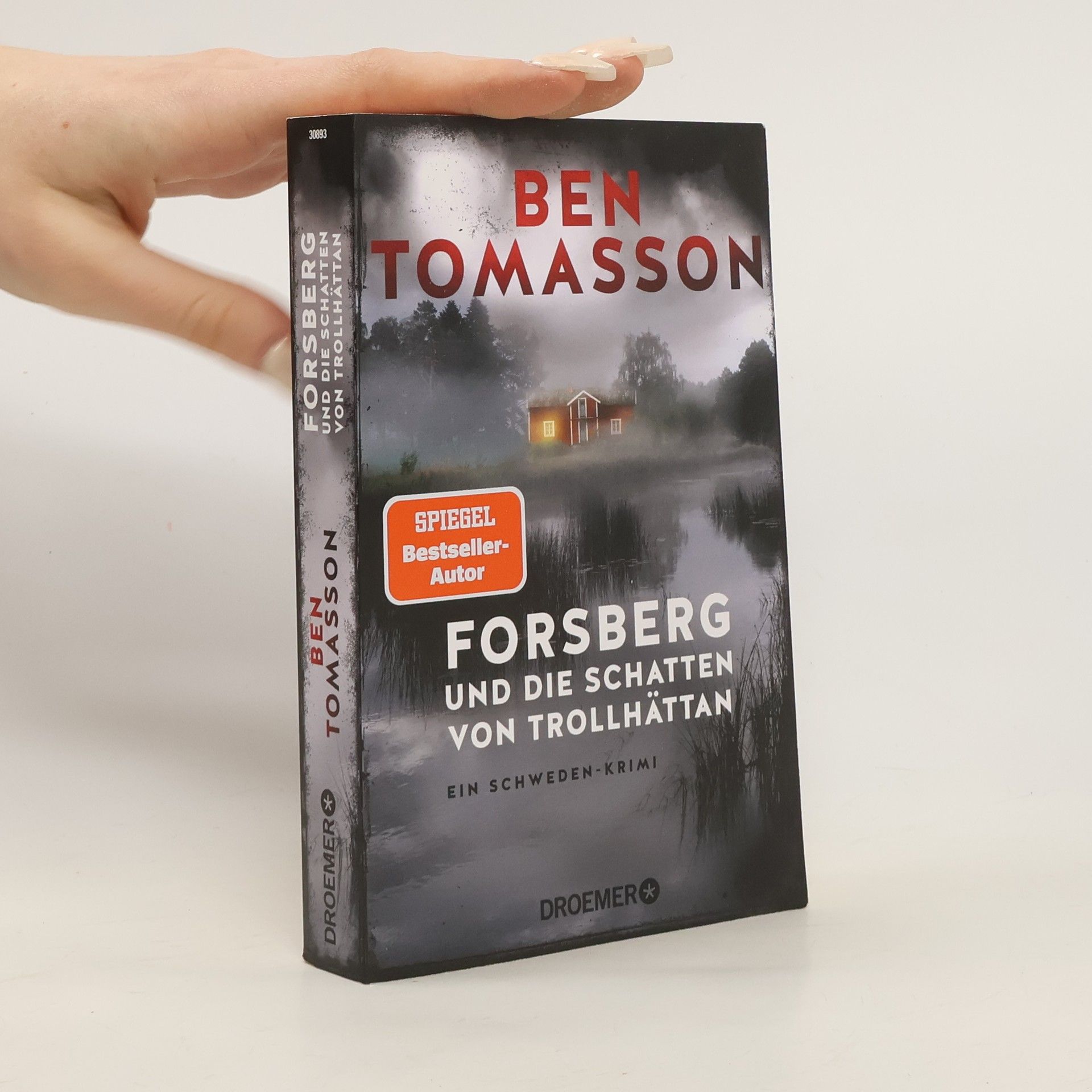 Ben Tomasson Forsberg und die Schatten von Trollhättan / Frederik Forsberg Bd.4