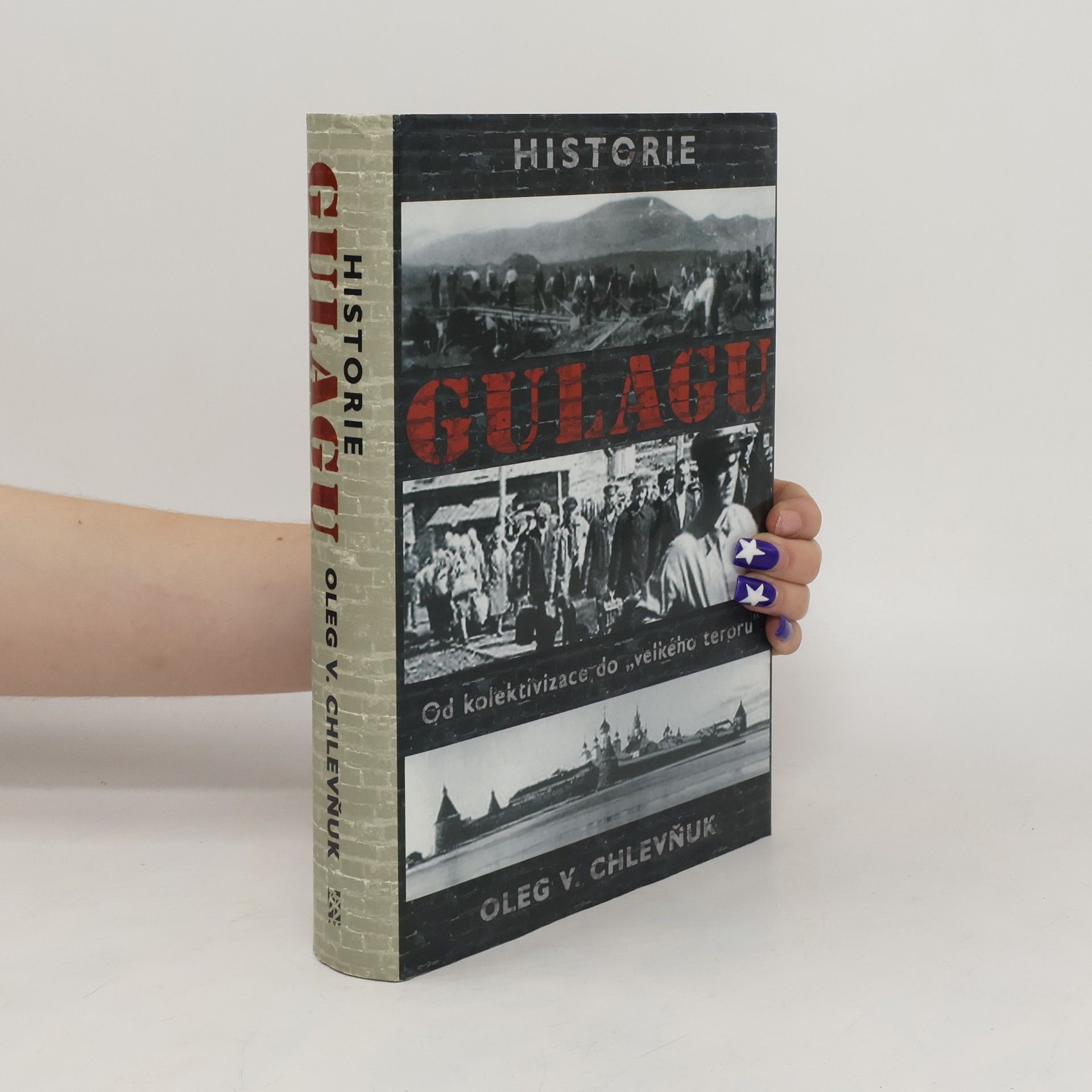 Oleg Vital jevič Chlevnjuk Historie gulagu