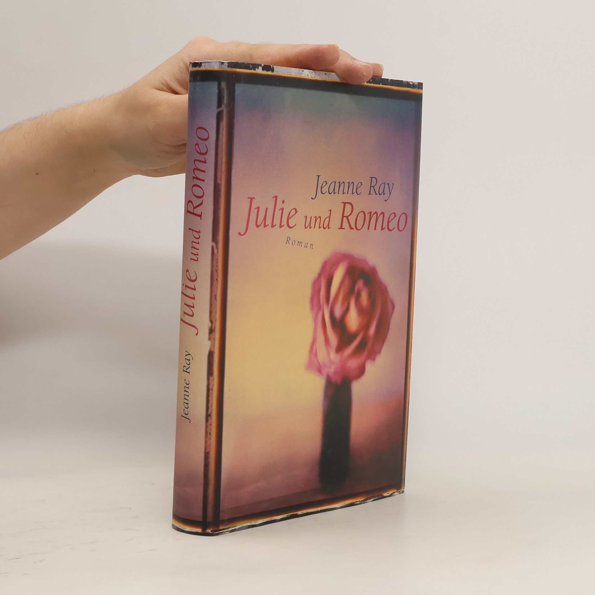 Jeanne Ray Julie und Romeo