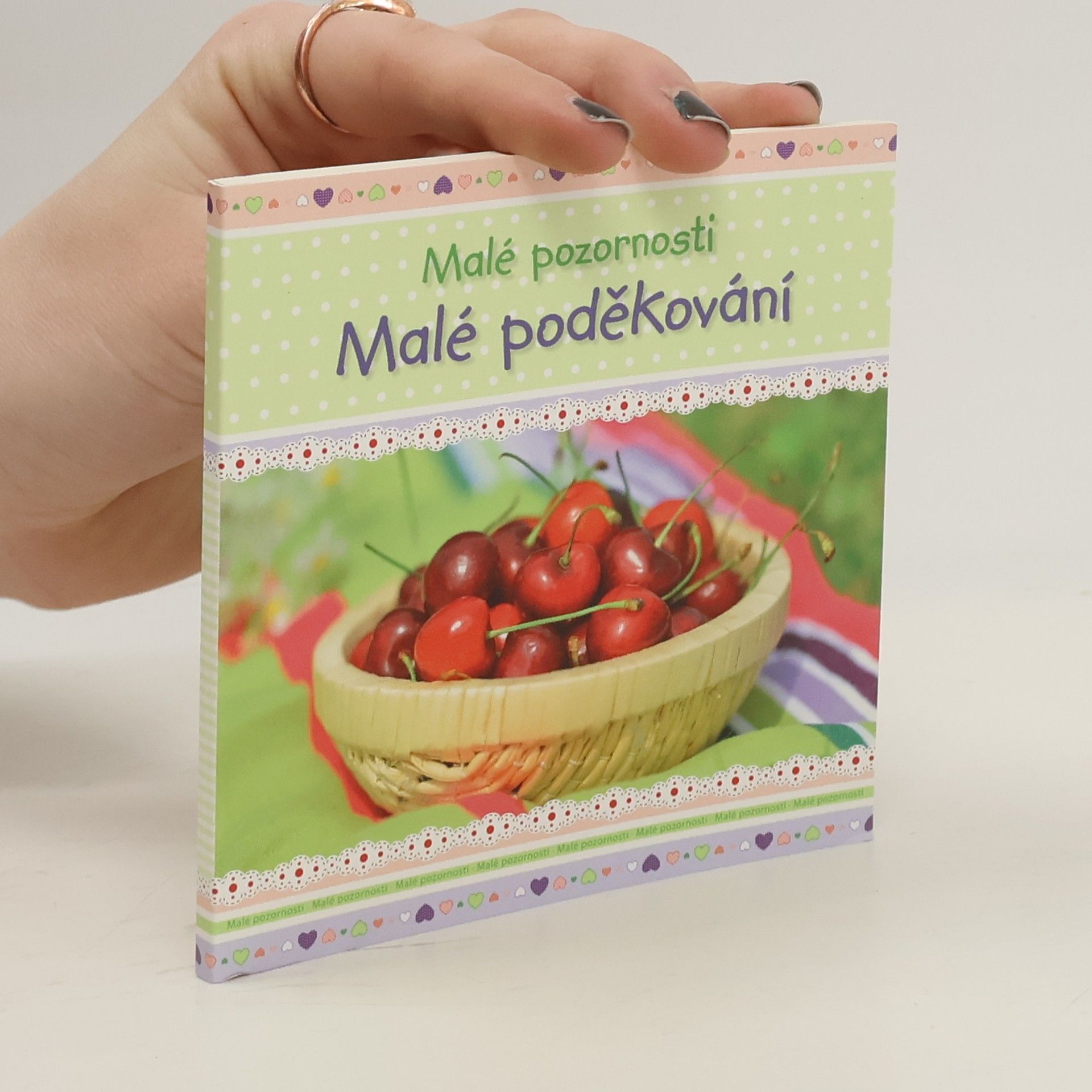 Autorenkollektiv Malé poděkování