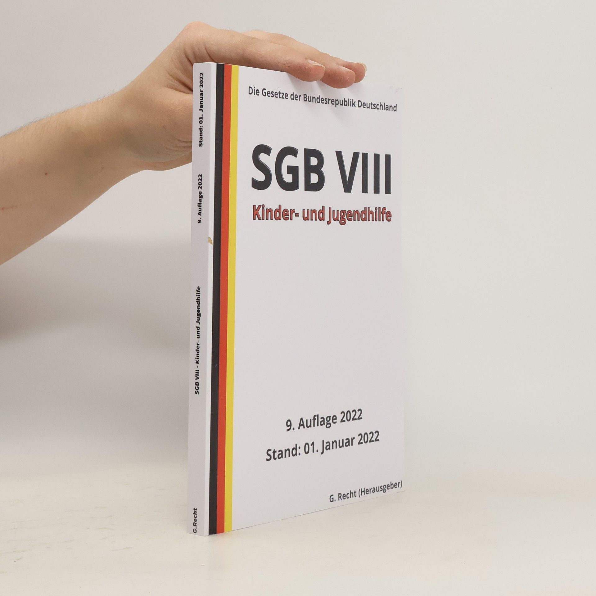 Collectif d'auteurs SGB VIII, Kinder- und Jugendhilfe