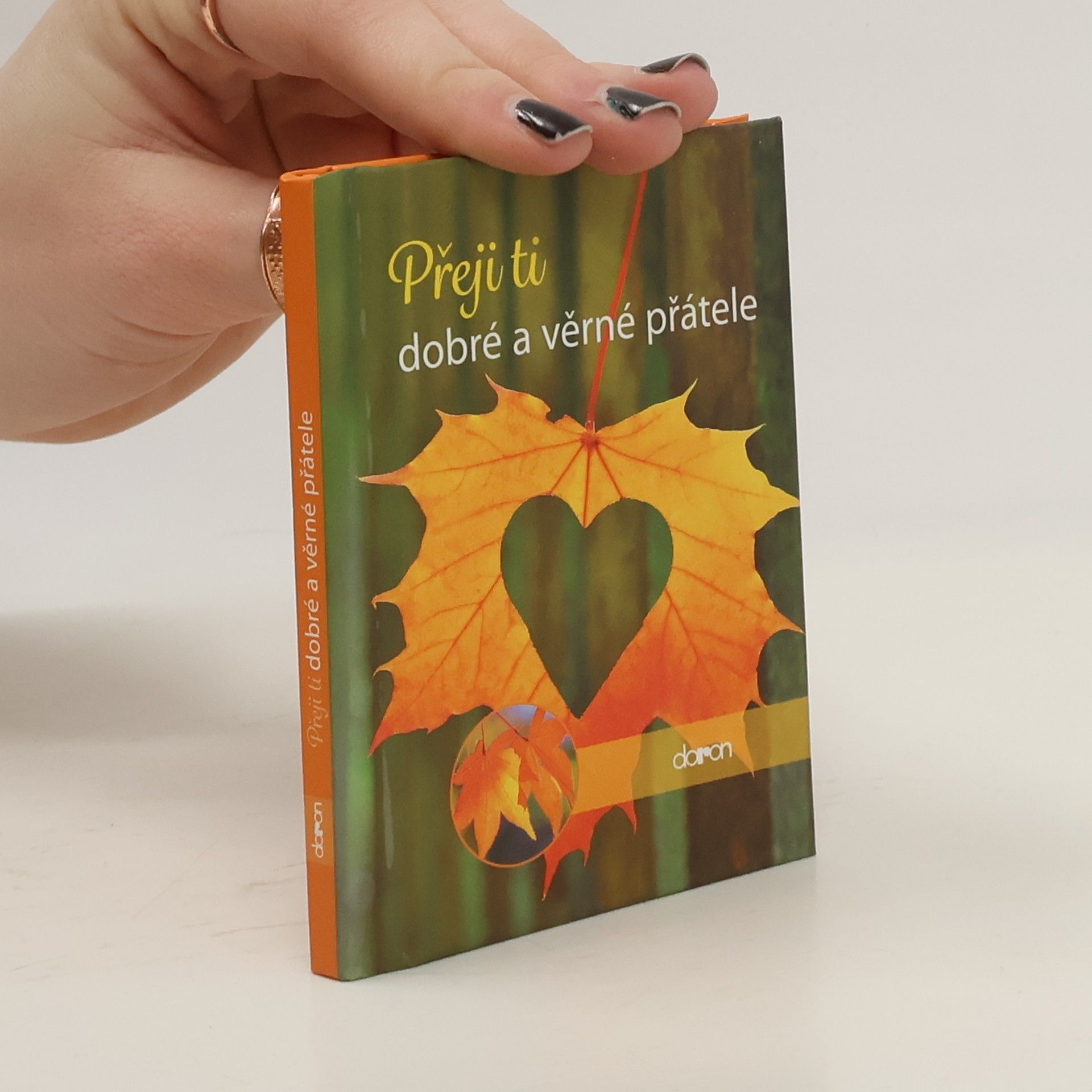 Autorenkollektiv Přeji ti dobré a věrné přátele