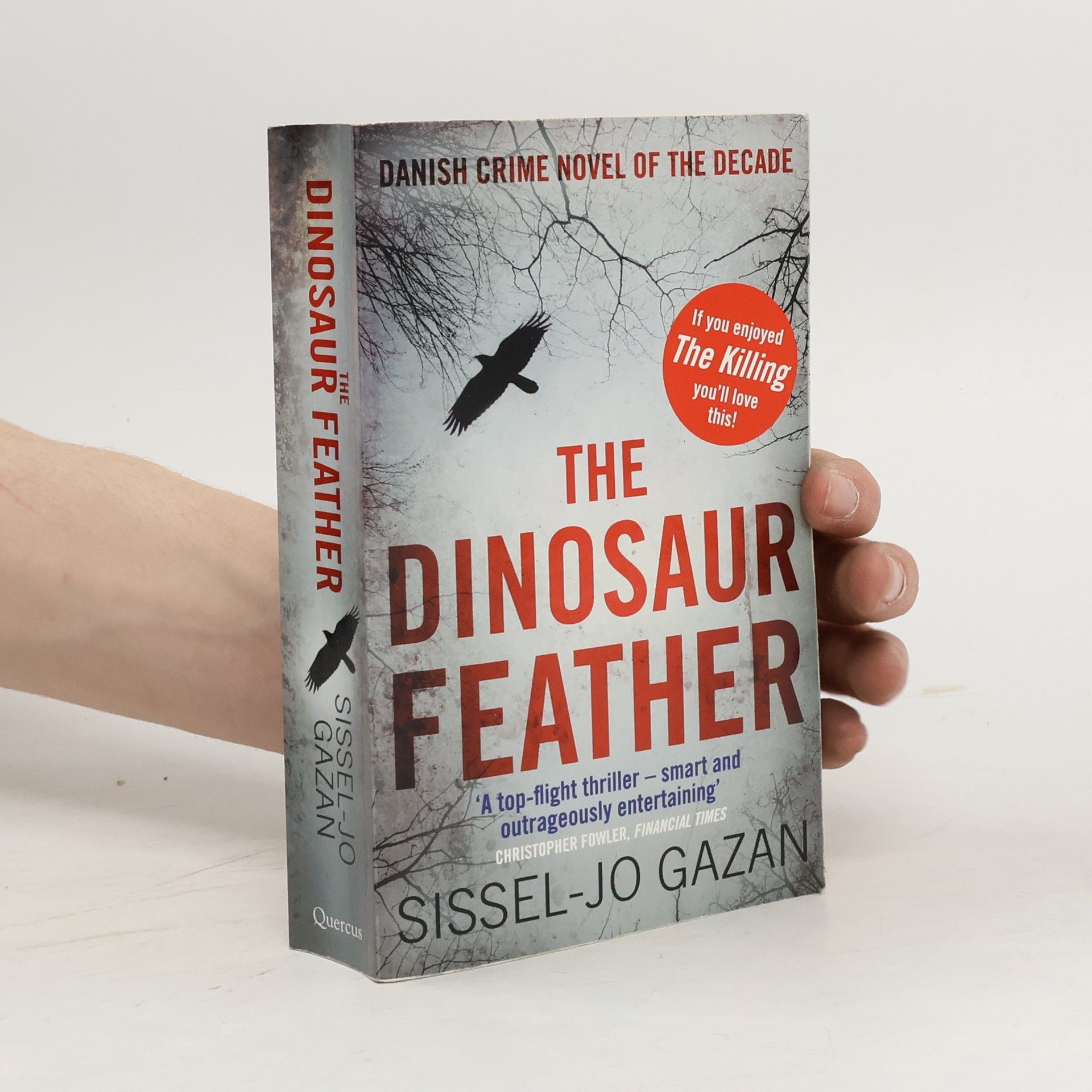 Sissel-Jo Gazan The Dinosaur Feather. Dinosaurierfedern, englische Ausgabe