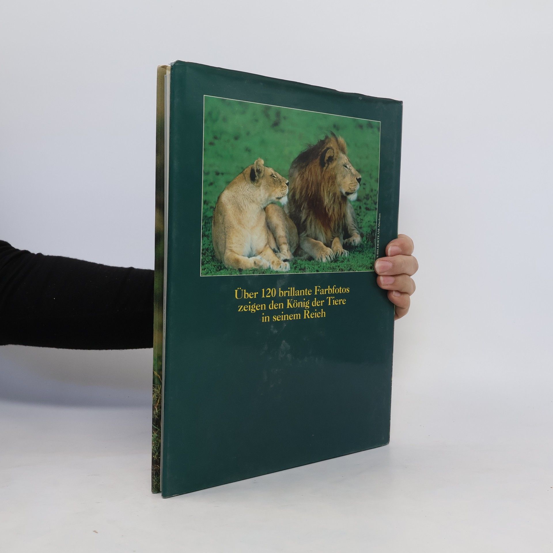 Jonathan Scott Das Königreich der Löwen