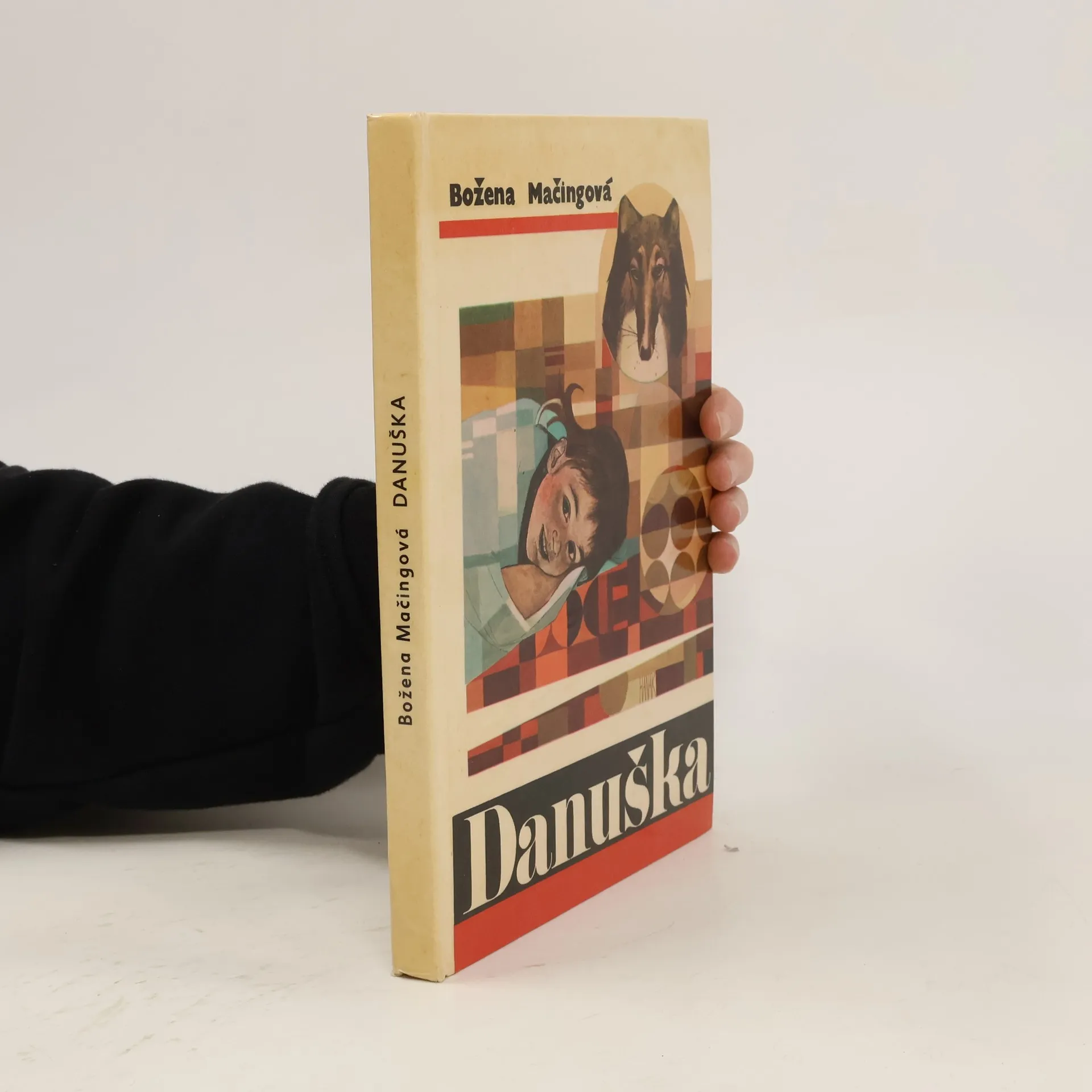 Danuška | Kniha | pevná | Božena Mačingová