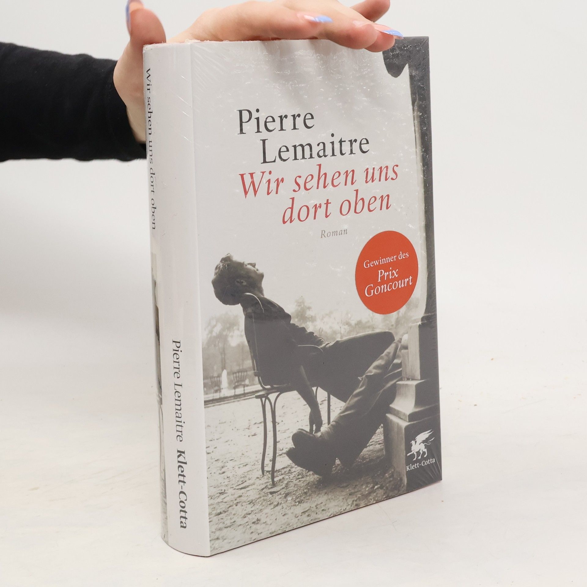 Pierre Lemaitre Wir sehen uns dort oben