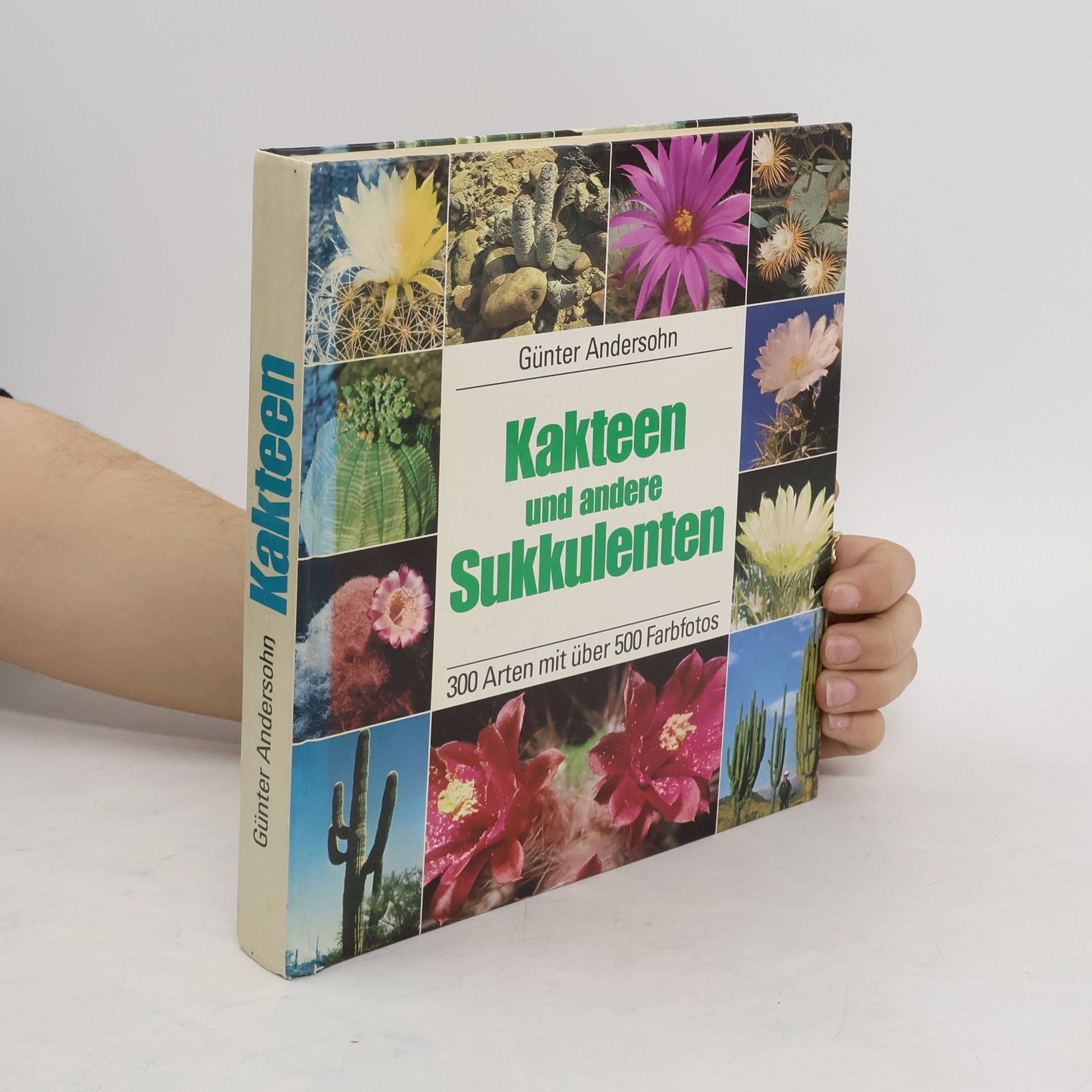 Collectif d'auteurs Kakteen und andere Sukkulenten