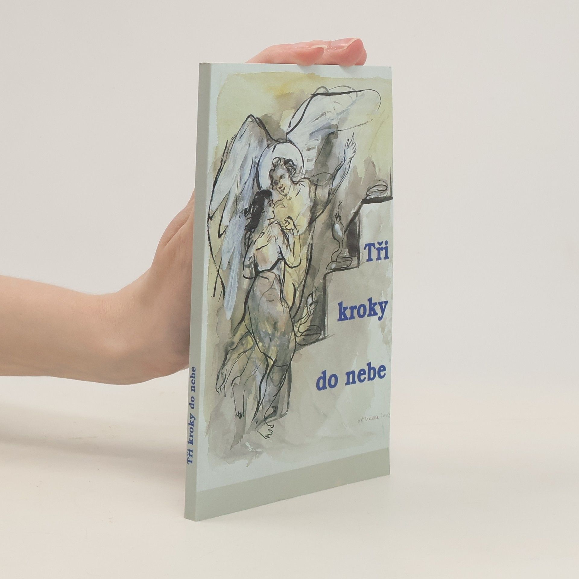 Jiří Bahounek Tři kroky do nebe