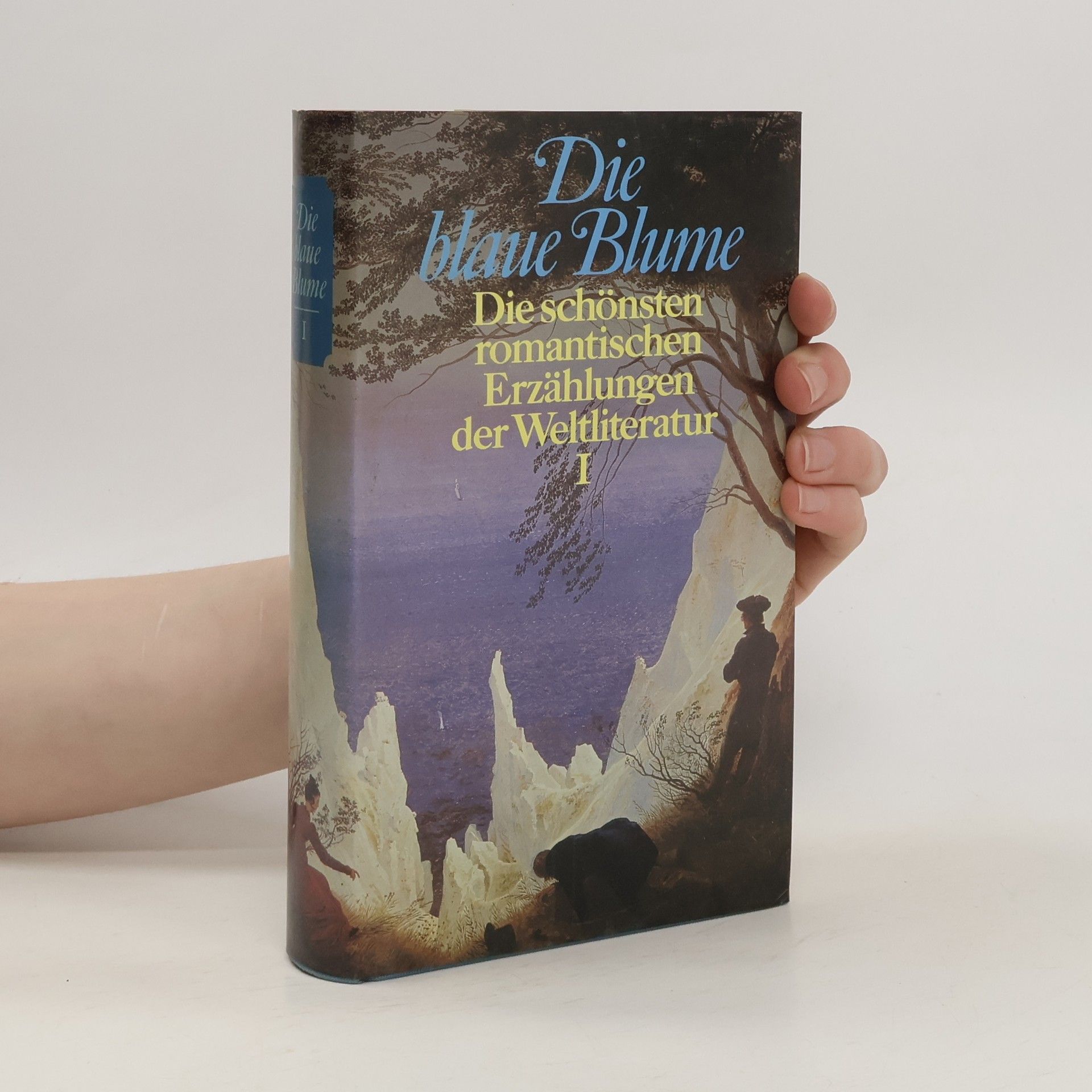 Kolektiv autorů Die blaue Blume I