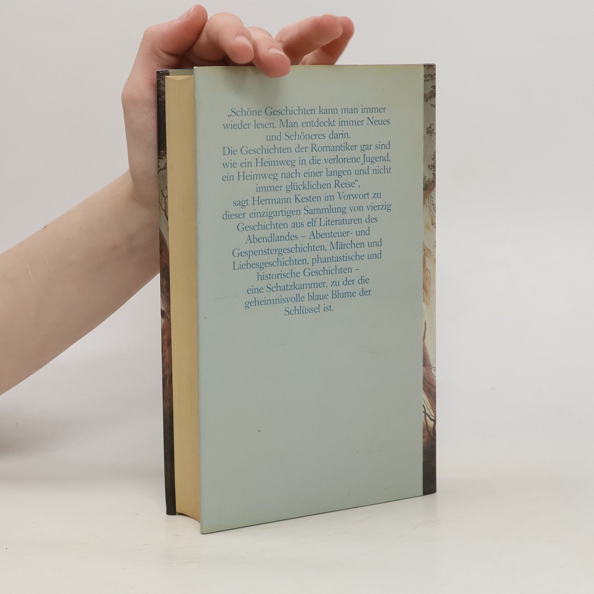 Kolektiv autorů Die blaue Blume I