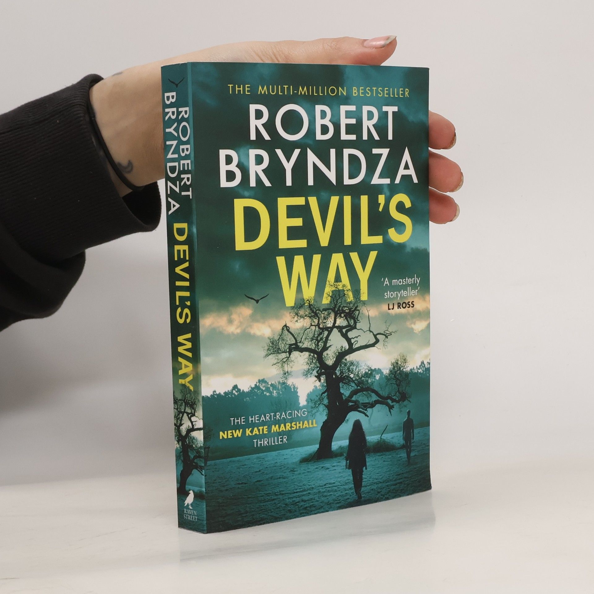 Robert Bryndza Devil´s Way
