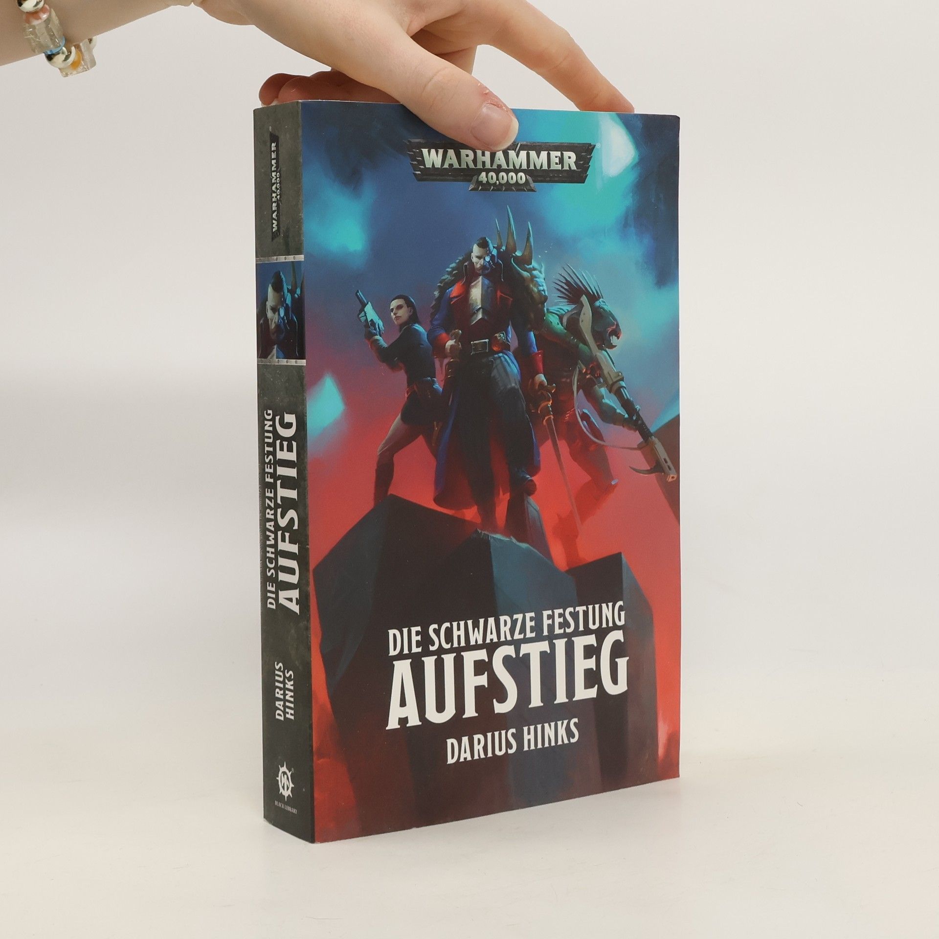 Darius Hinks Die schwarze Festung: Aufstieg
