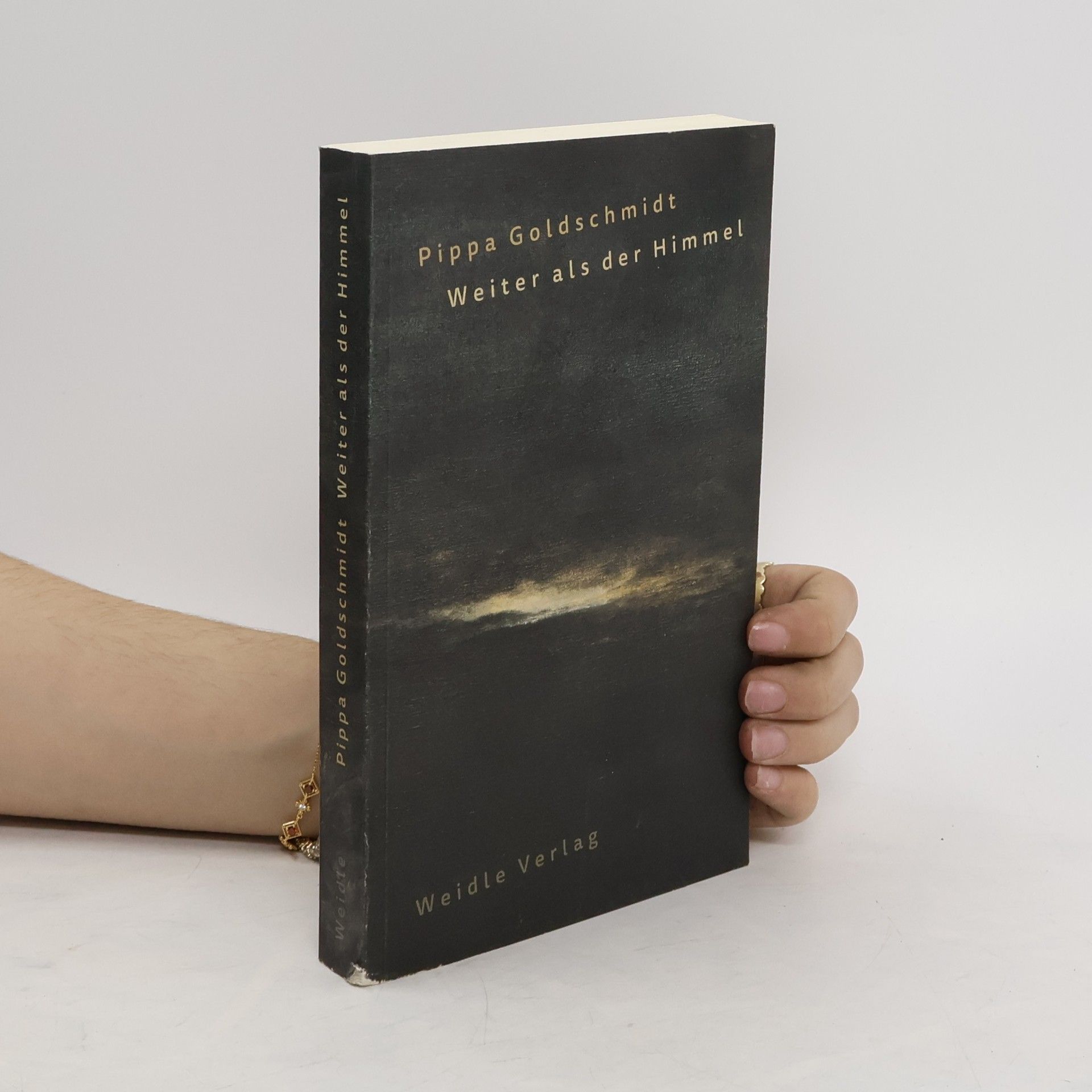 Pippa Goldschmidt Weiter als der Himmel