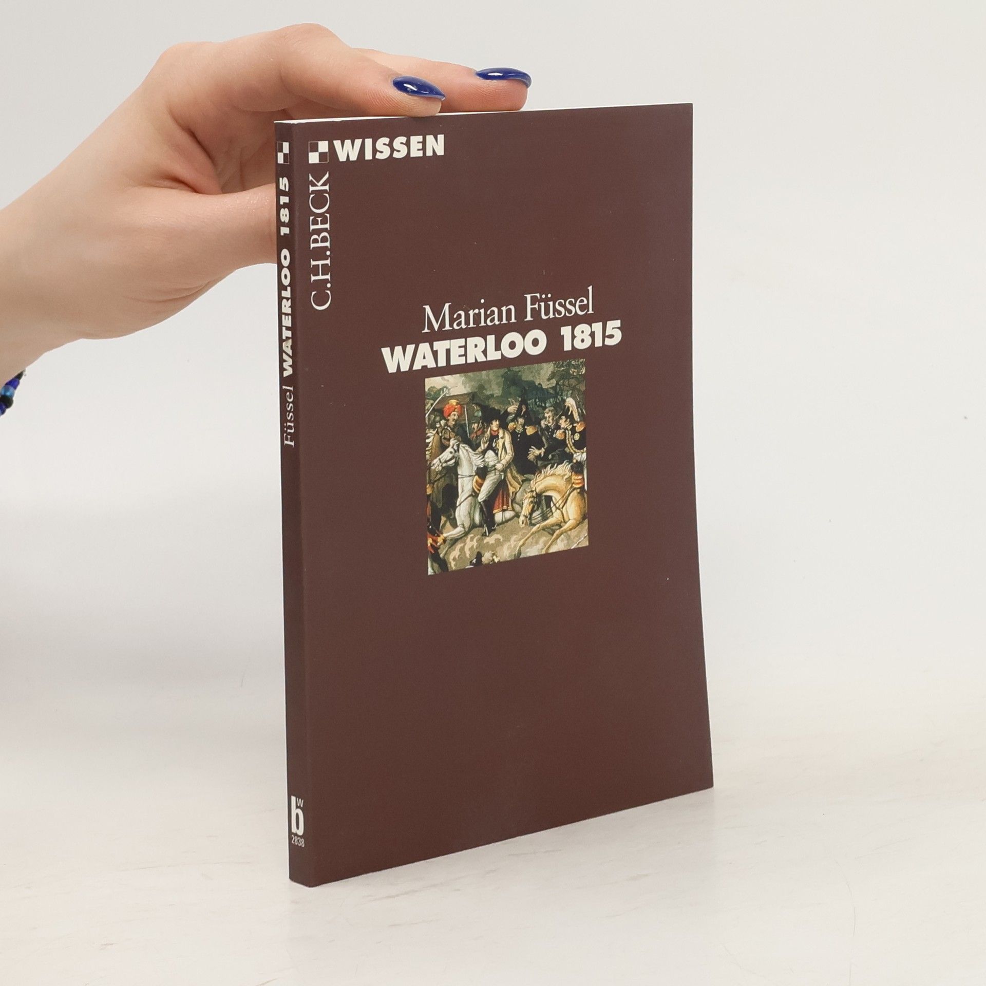 Marian Füssel Waterloo 1815