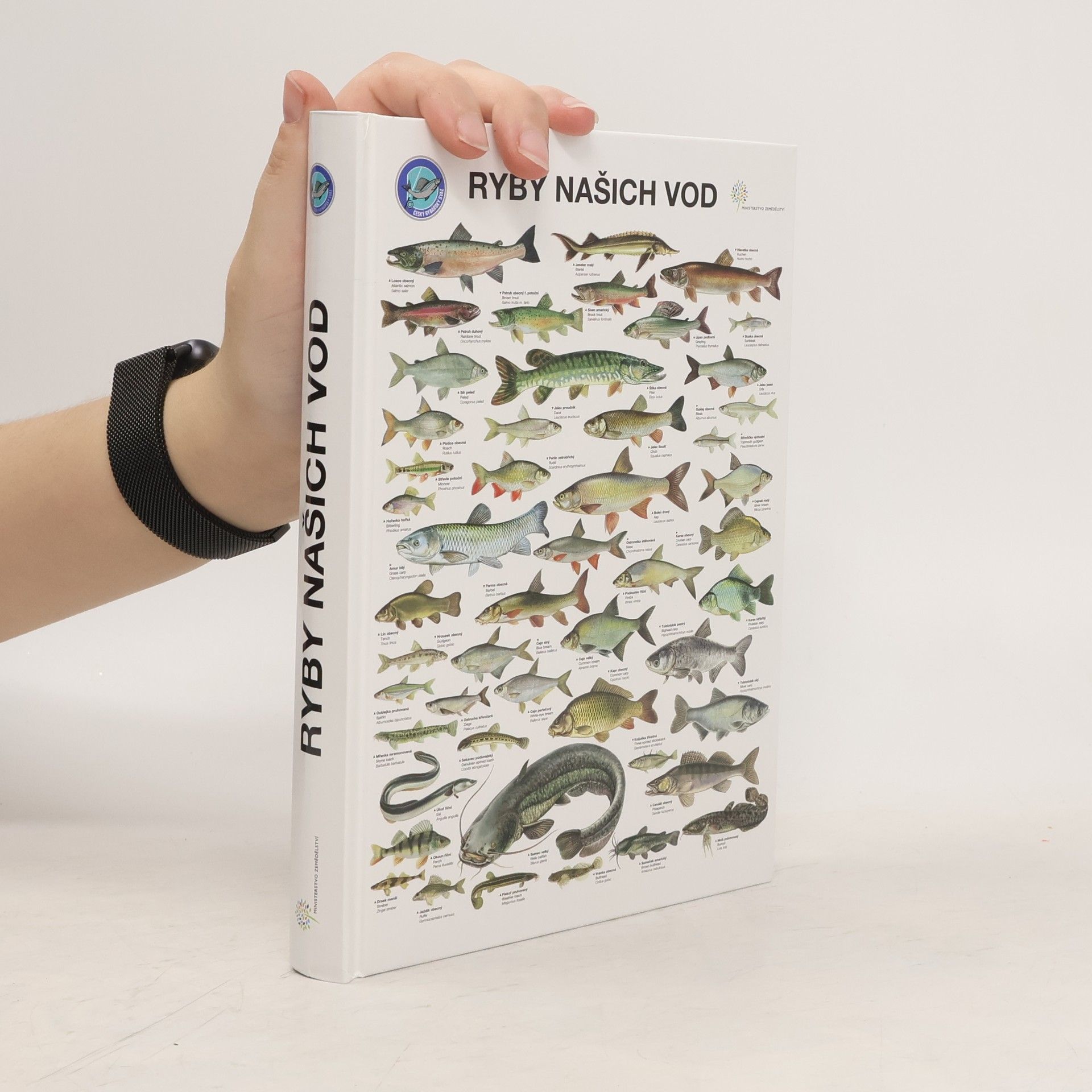 Autorenkollektiv Ryby našich vod