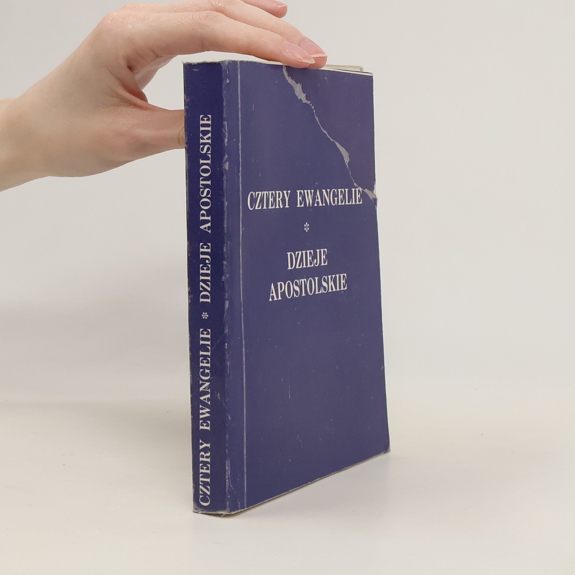 Autores varios Cztery ewangelie i dzieje apostolskie