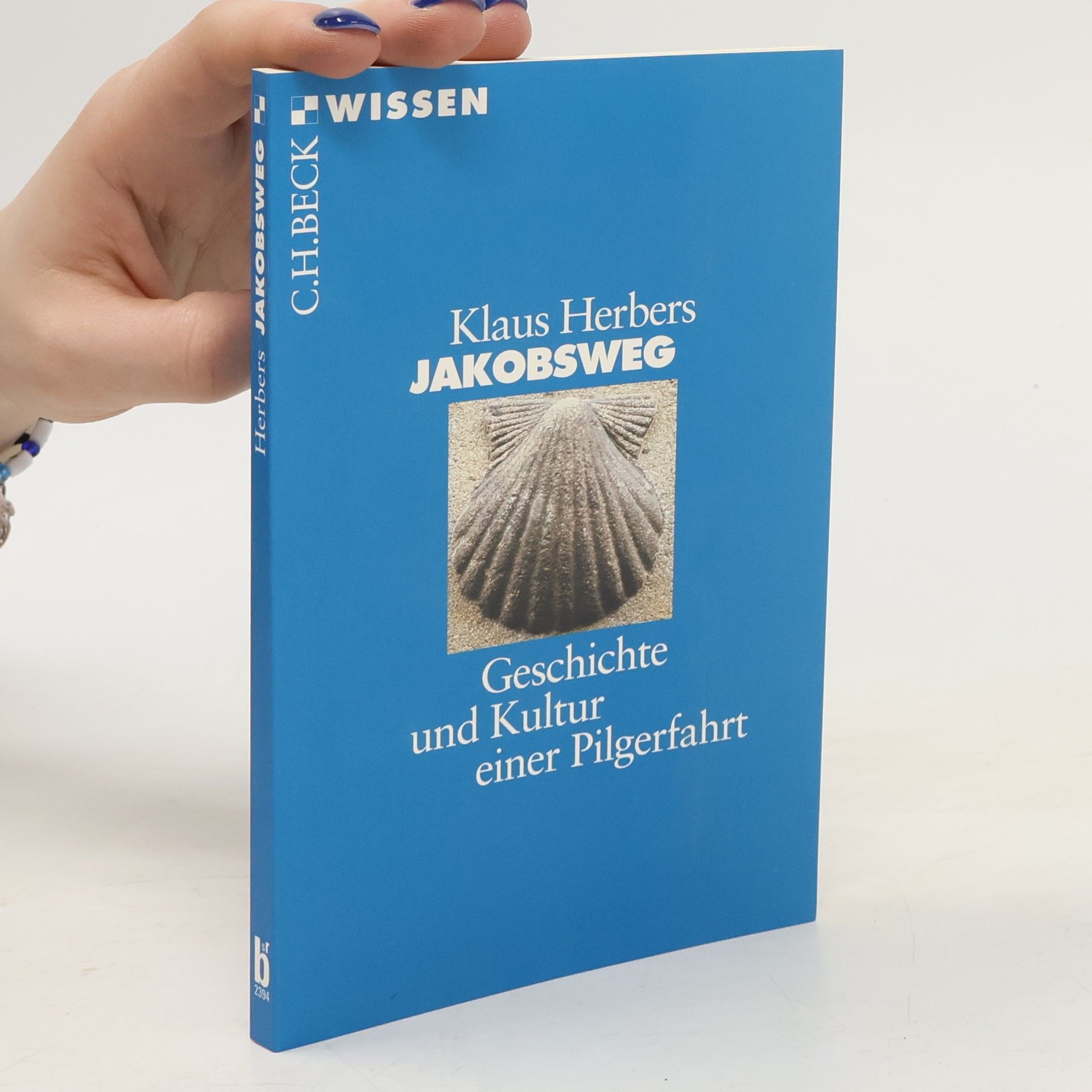 Klaus Herbers Jakobsweg