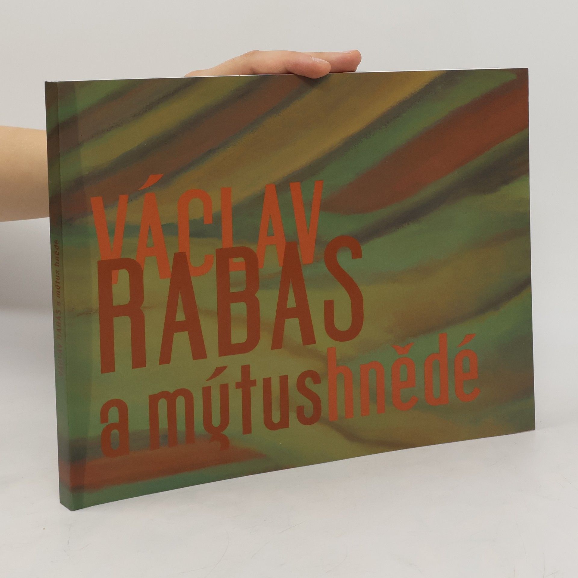 Collectif d'auteurs Václav Rabas a mýtus hnědé