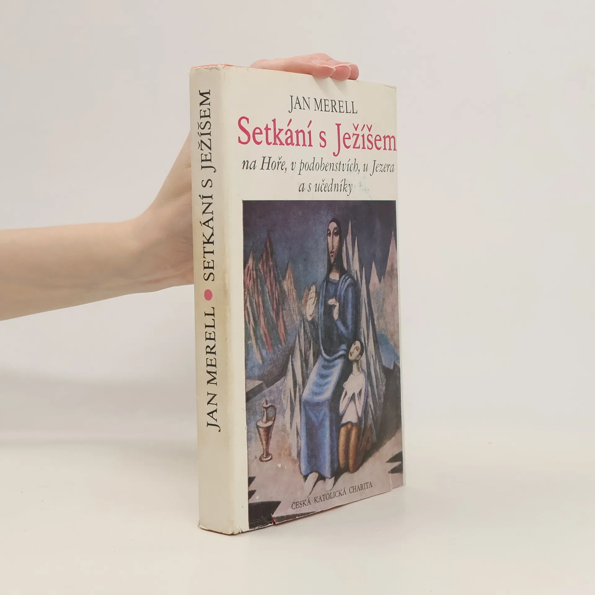 Setkání s Ježíšem | Kniha | pevná | Jan Merell | CS