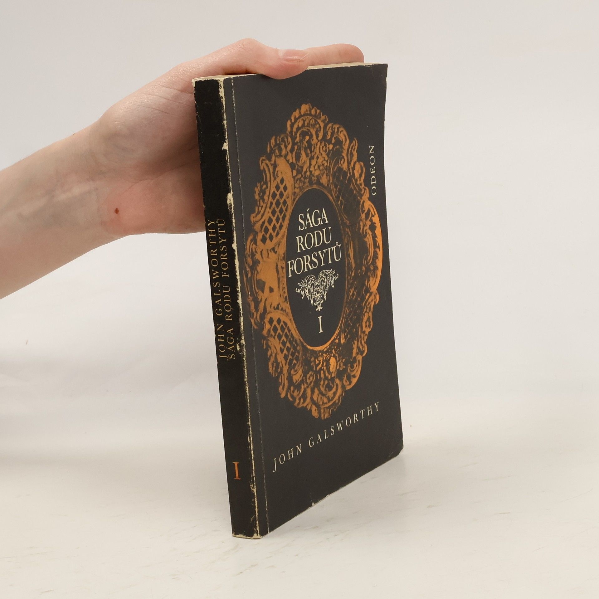 John Galsworthy Sága rodu Forsytů I