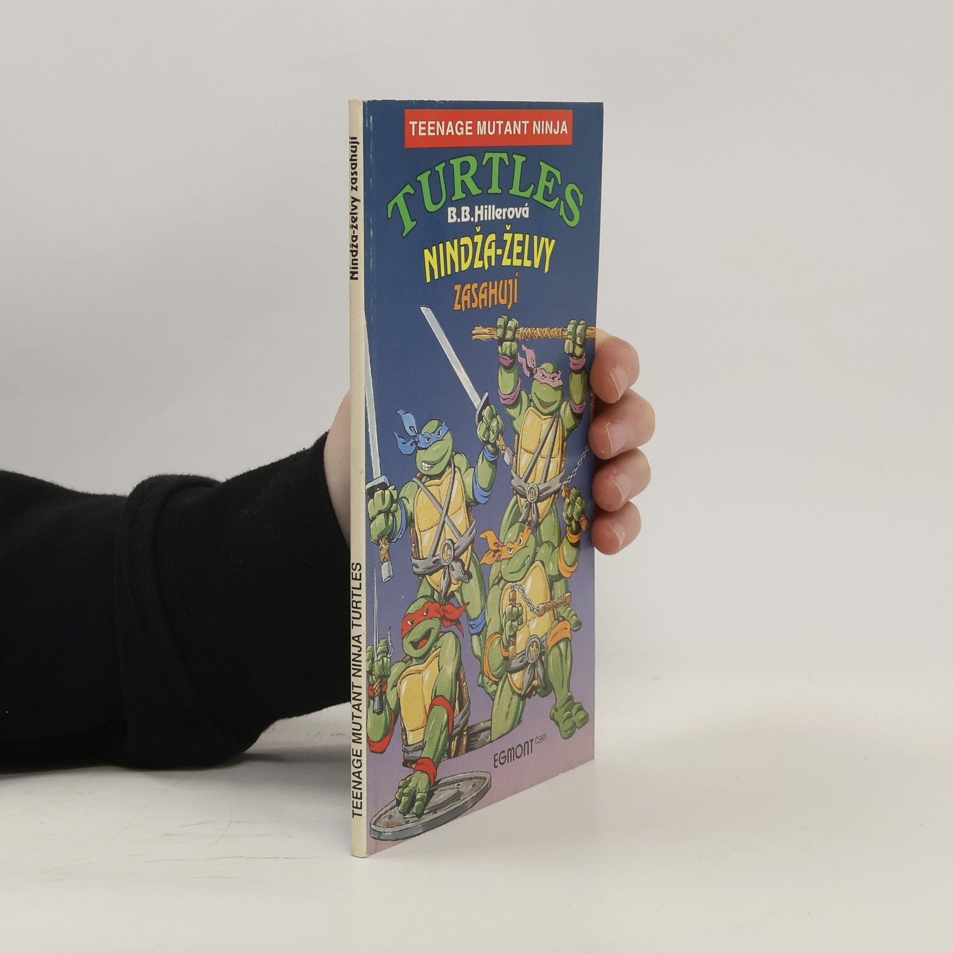 Bonnie Bryant Teenage Mutant Ninja Turtles: Nindža-želvy zasahují