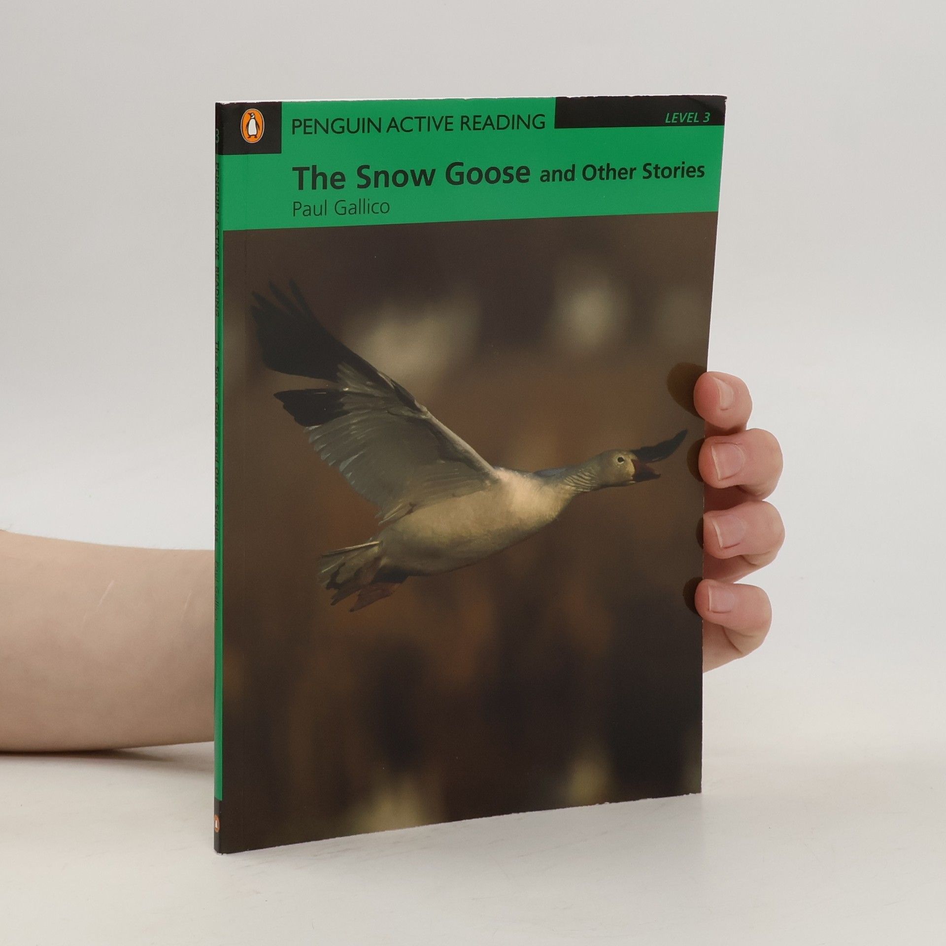 John Escott The snow goose and other stories