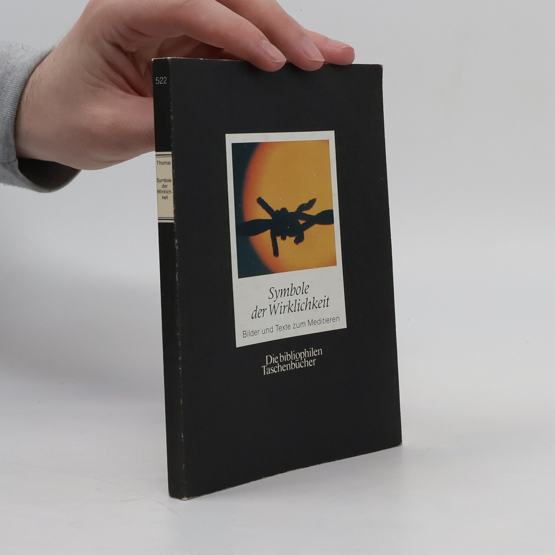 Hans-Martin Thomas Symbole der Wirklichkeit