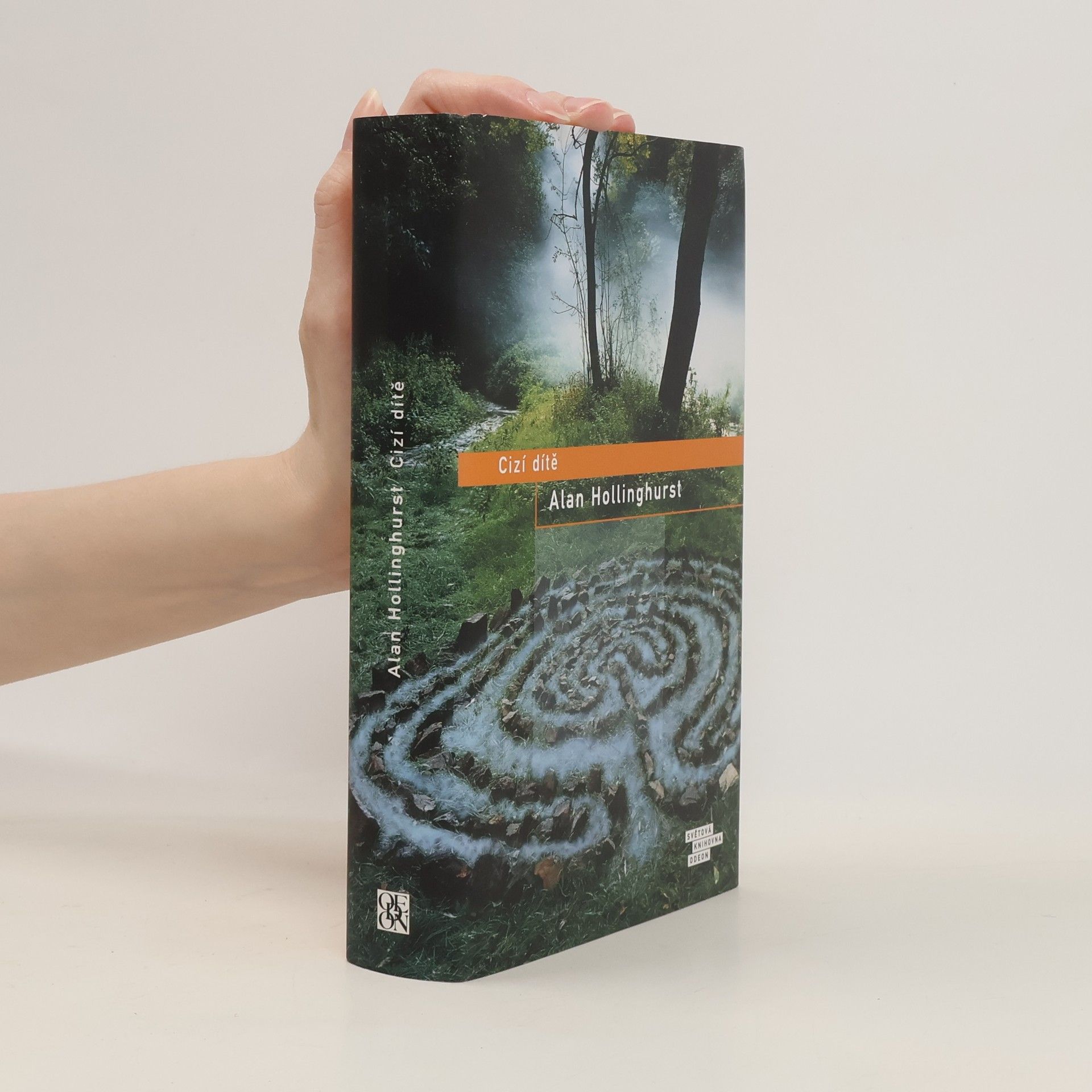 Alan Hollinghurst Cizí dítě