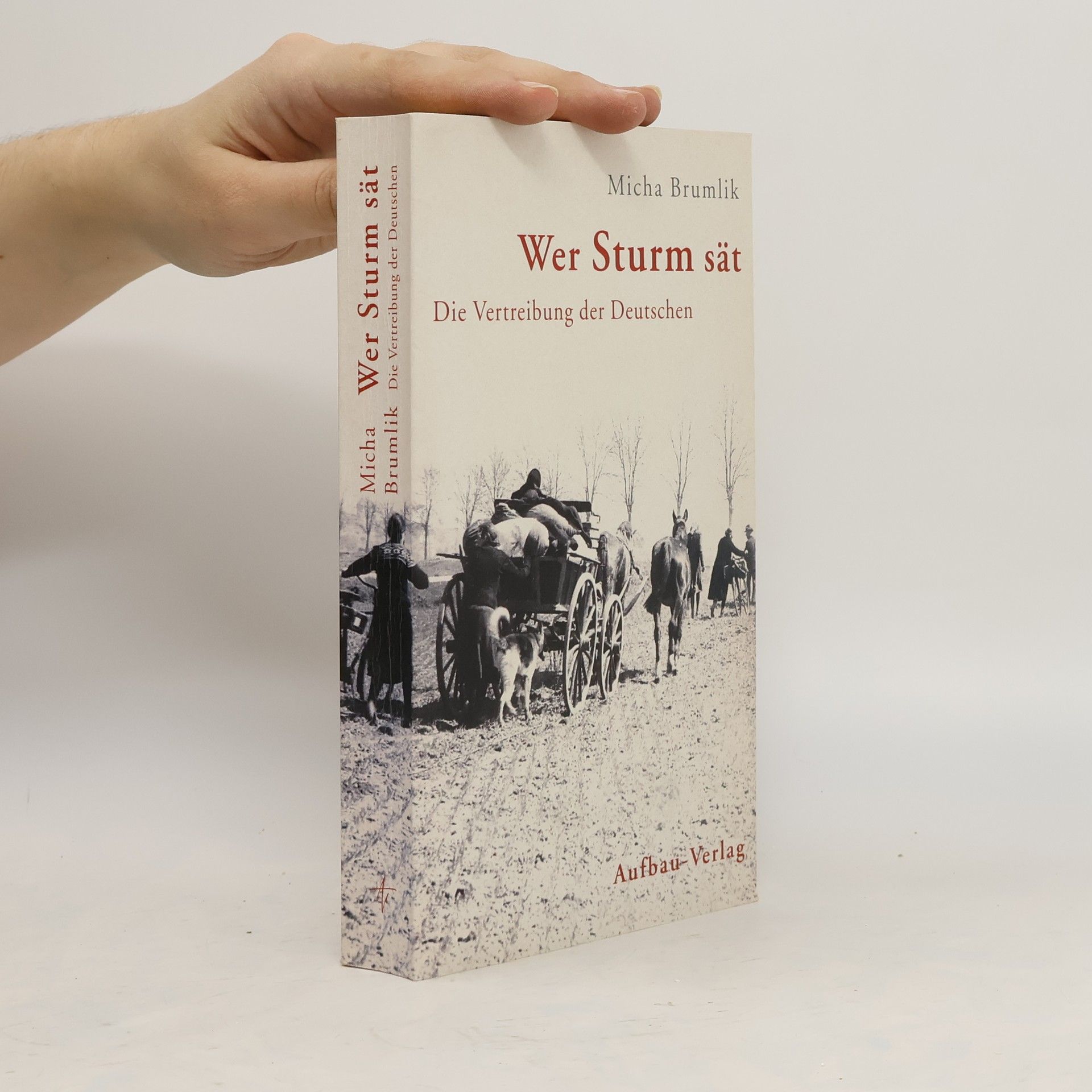 Micha Brumlik Wer Sturm sät