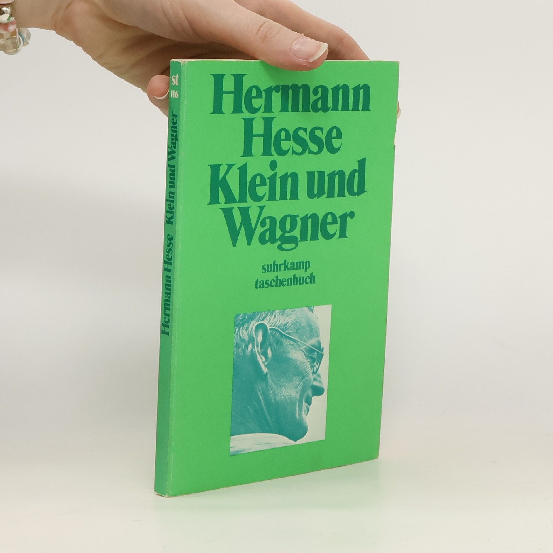Hermann Hesse Klein und Wagner
