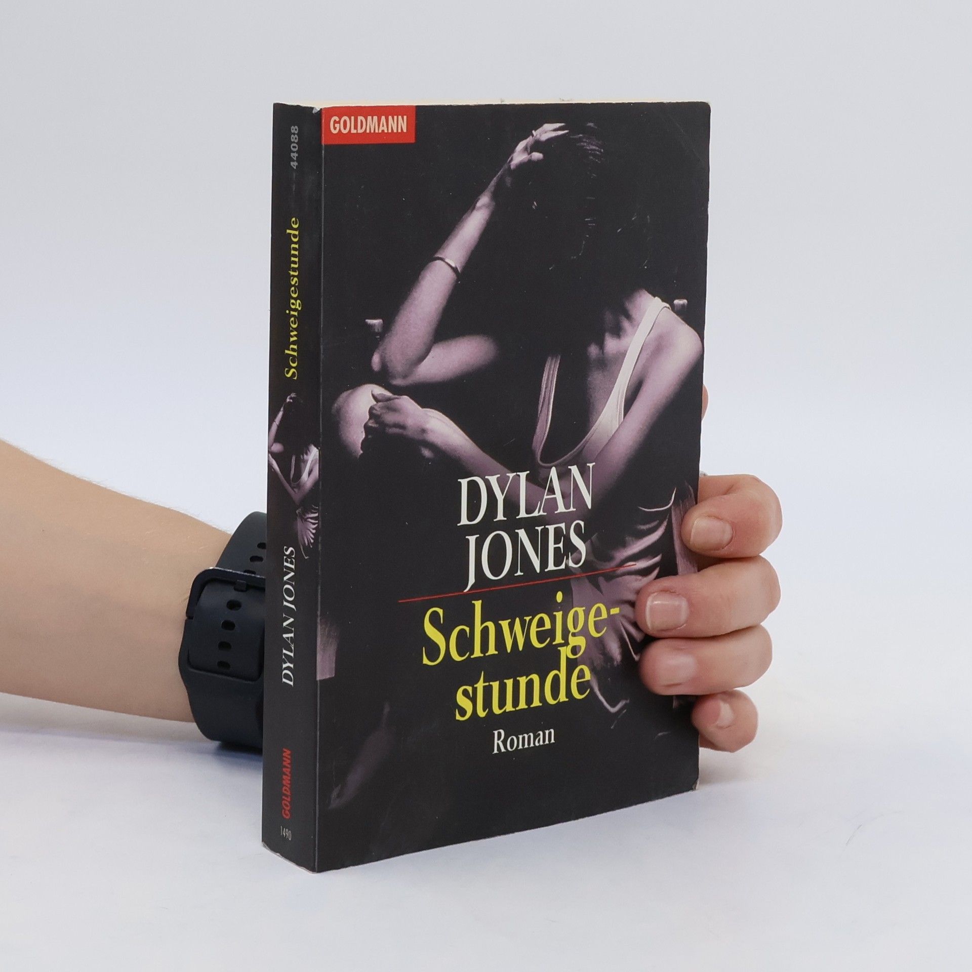 Dylan Jones Schweigestunde. Roman