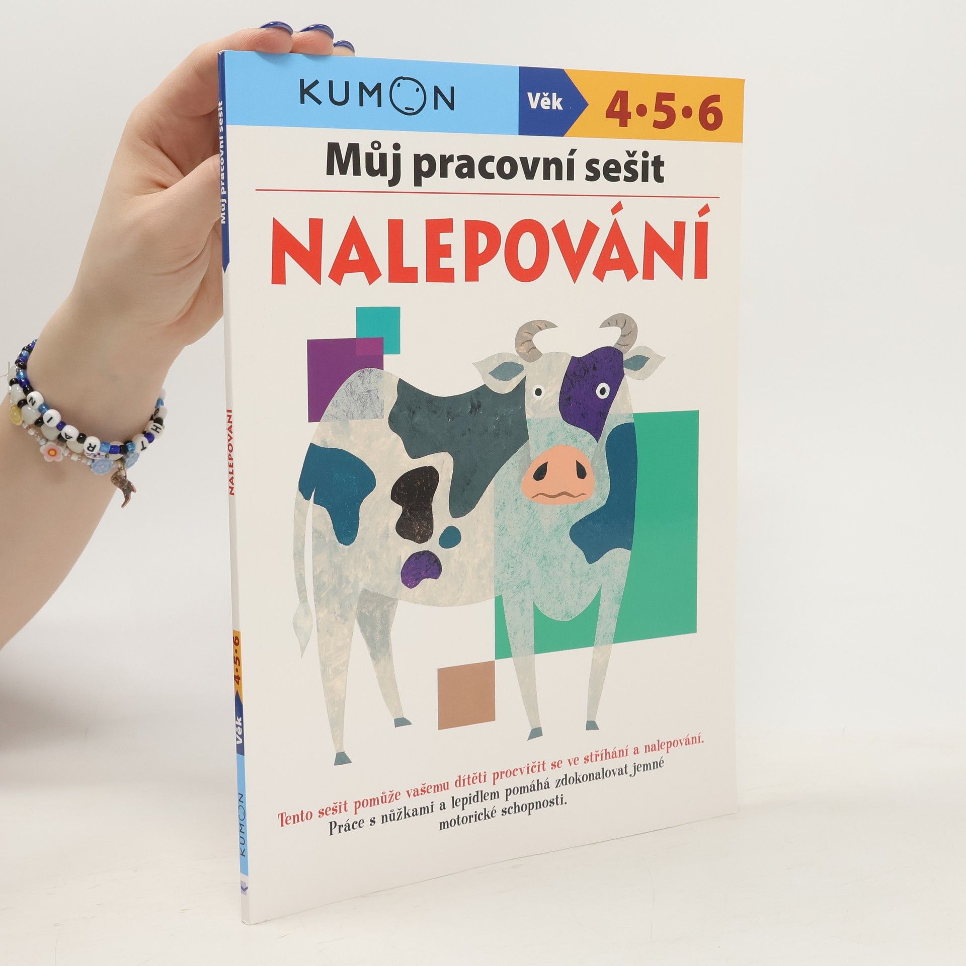 Kateřina Čedíková Můj pracovní sešit. Nalepování