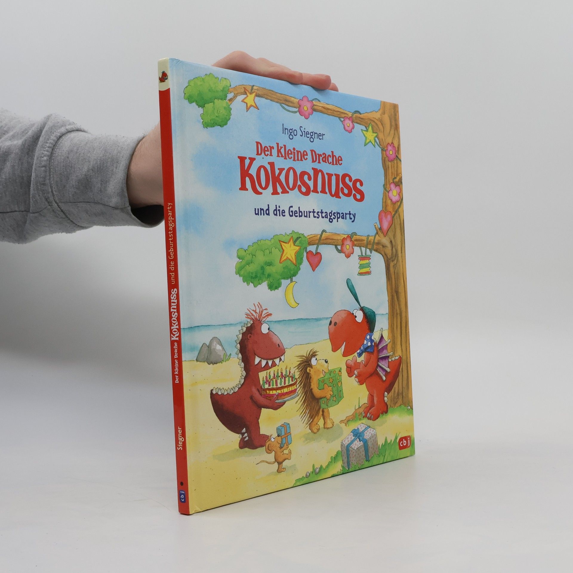 Ingo Seigner Der kleine Drache Kokosnuss und die Geburtstagsparty