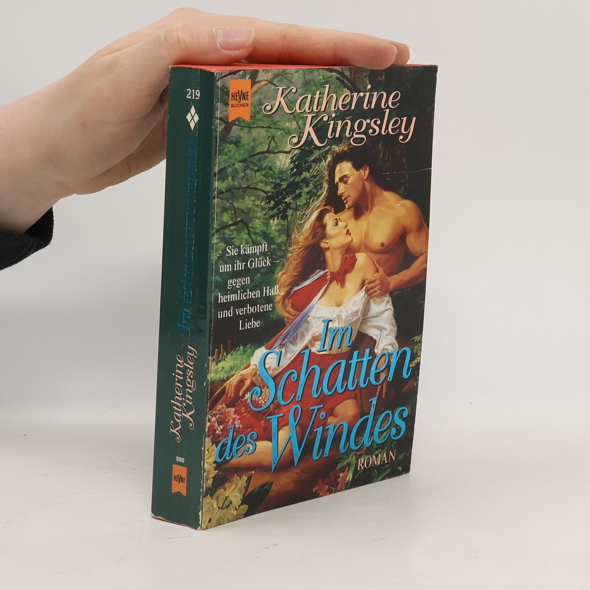 Katherine Kingsley Im Schatten des Windes. Roman