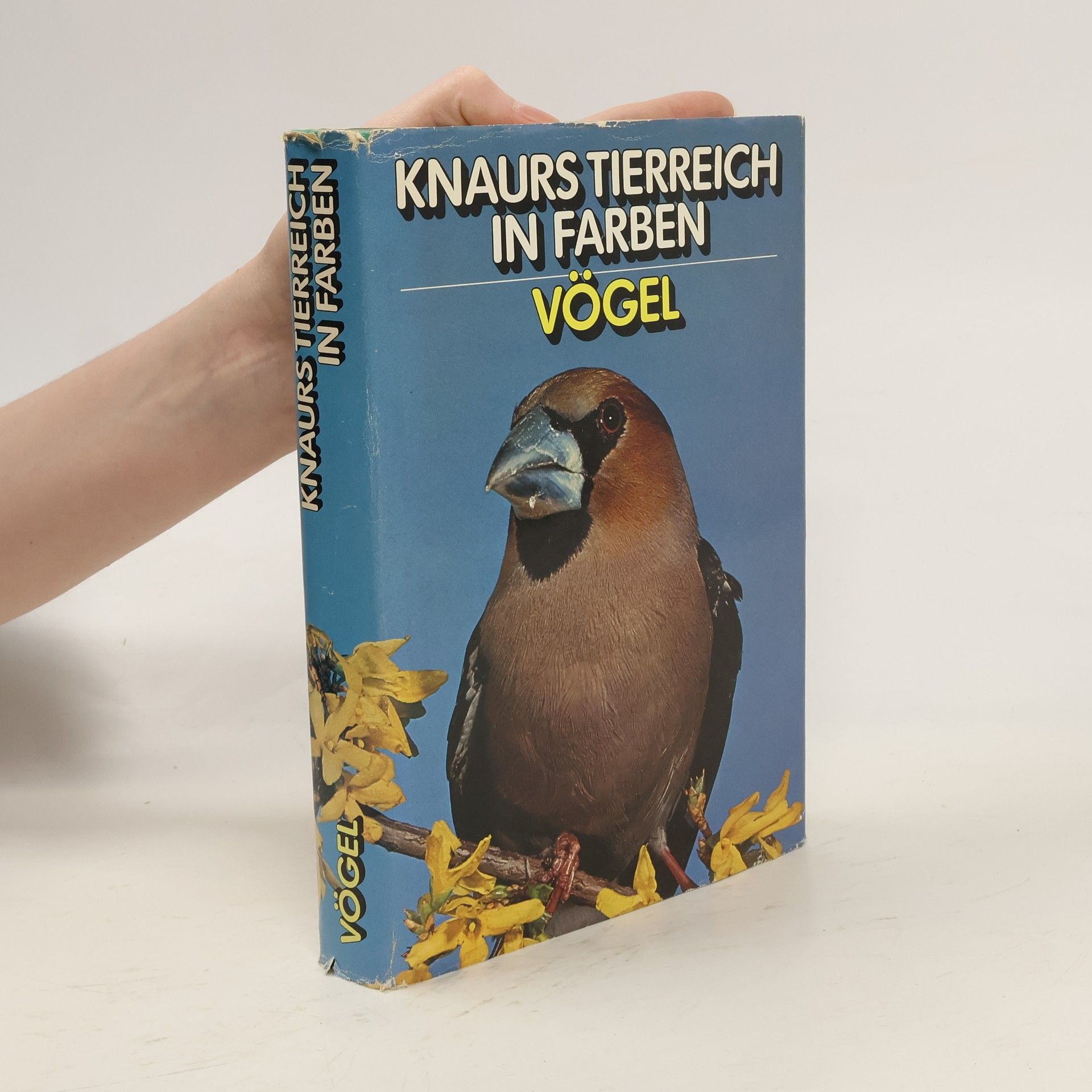 kolektiv Knaurs Tierreich in Farben Vögel