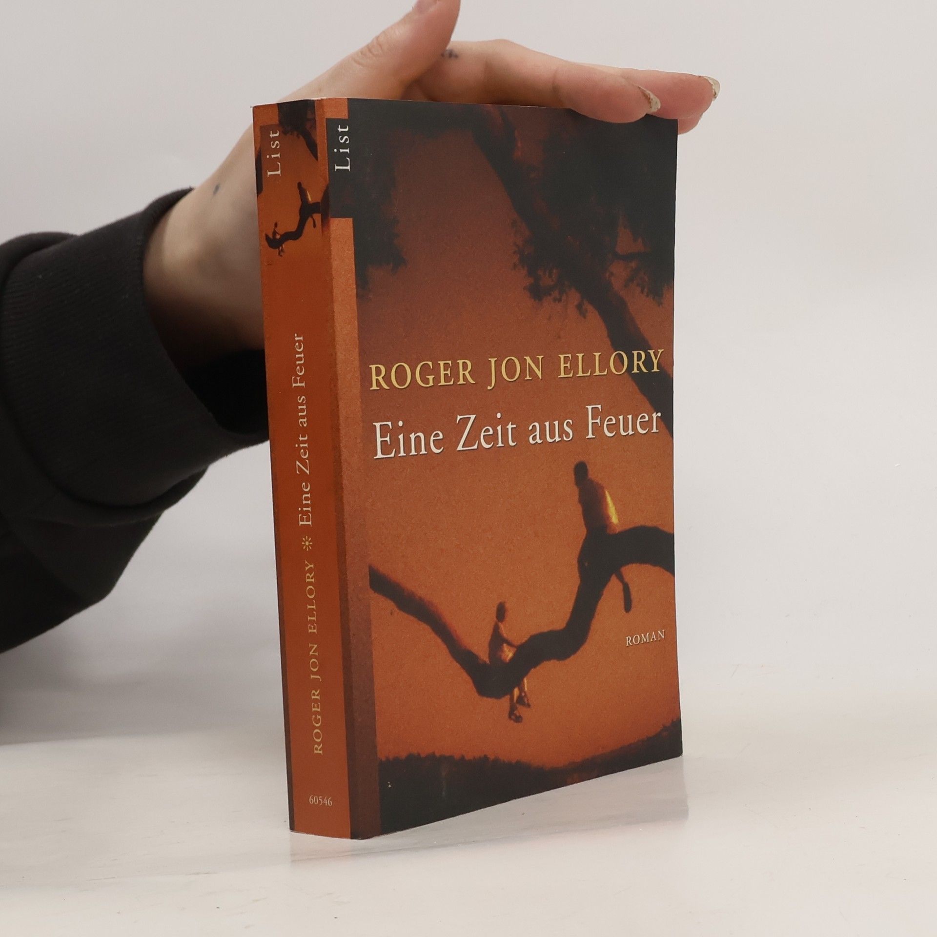 Roger Jon Ellory Eine Zeit aus Feuer