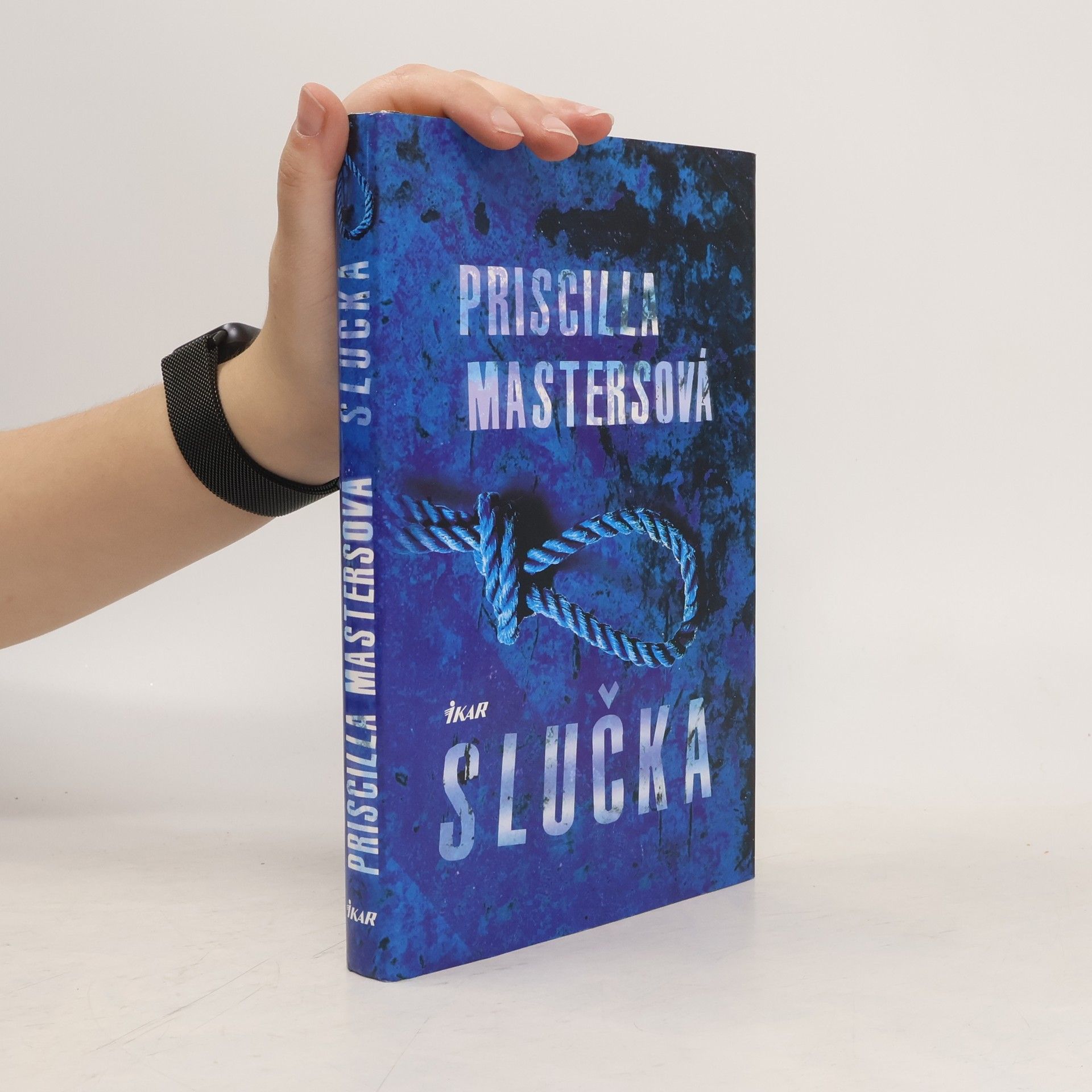 Priscilla Masters Slučka