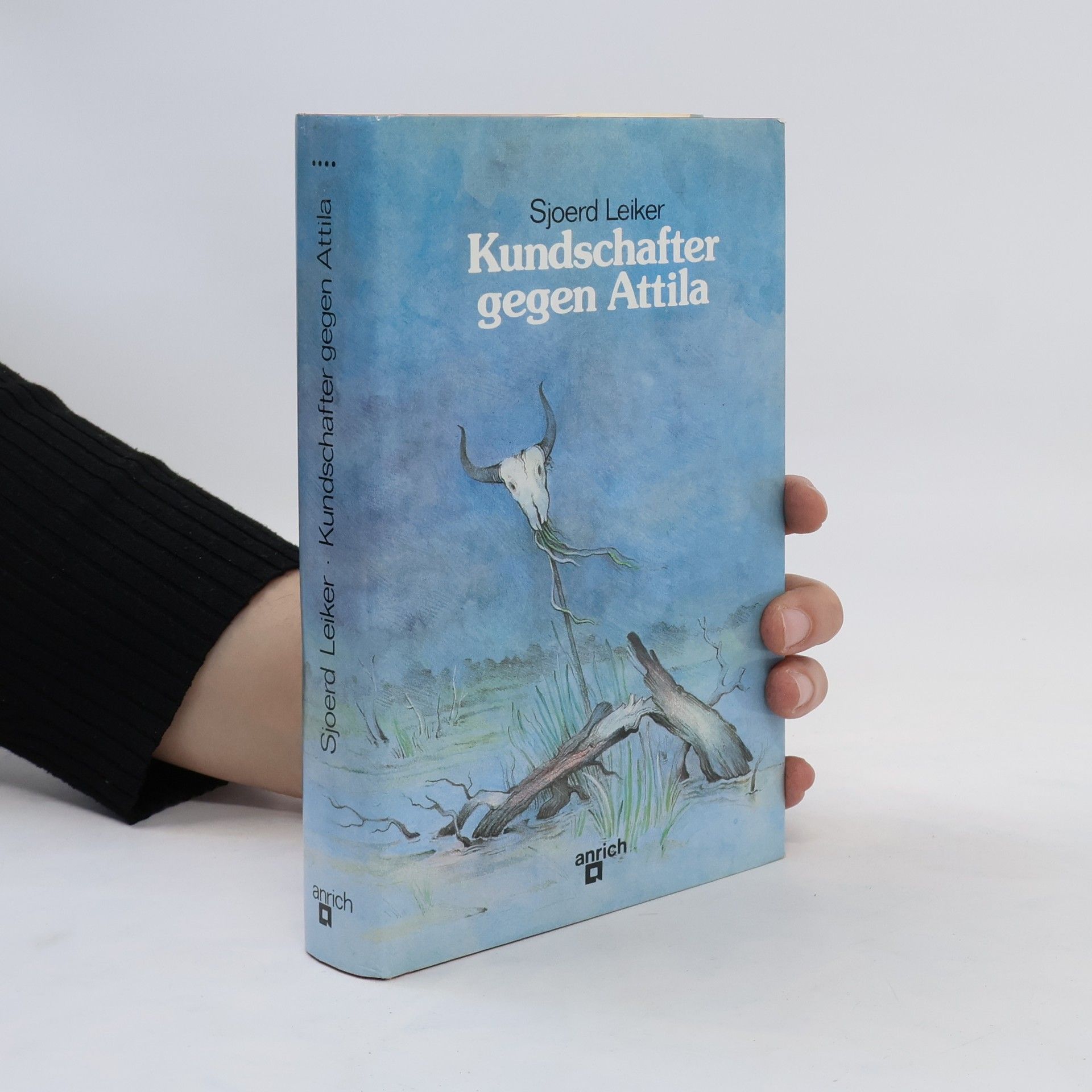 Sjoerd Leiker Kundschafter gegen Attila