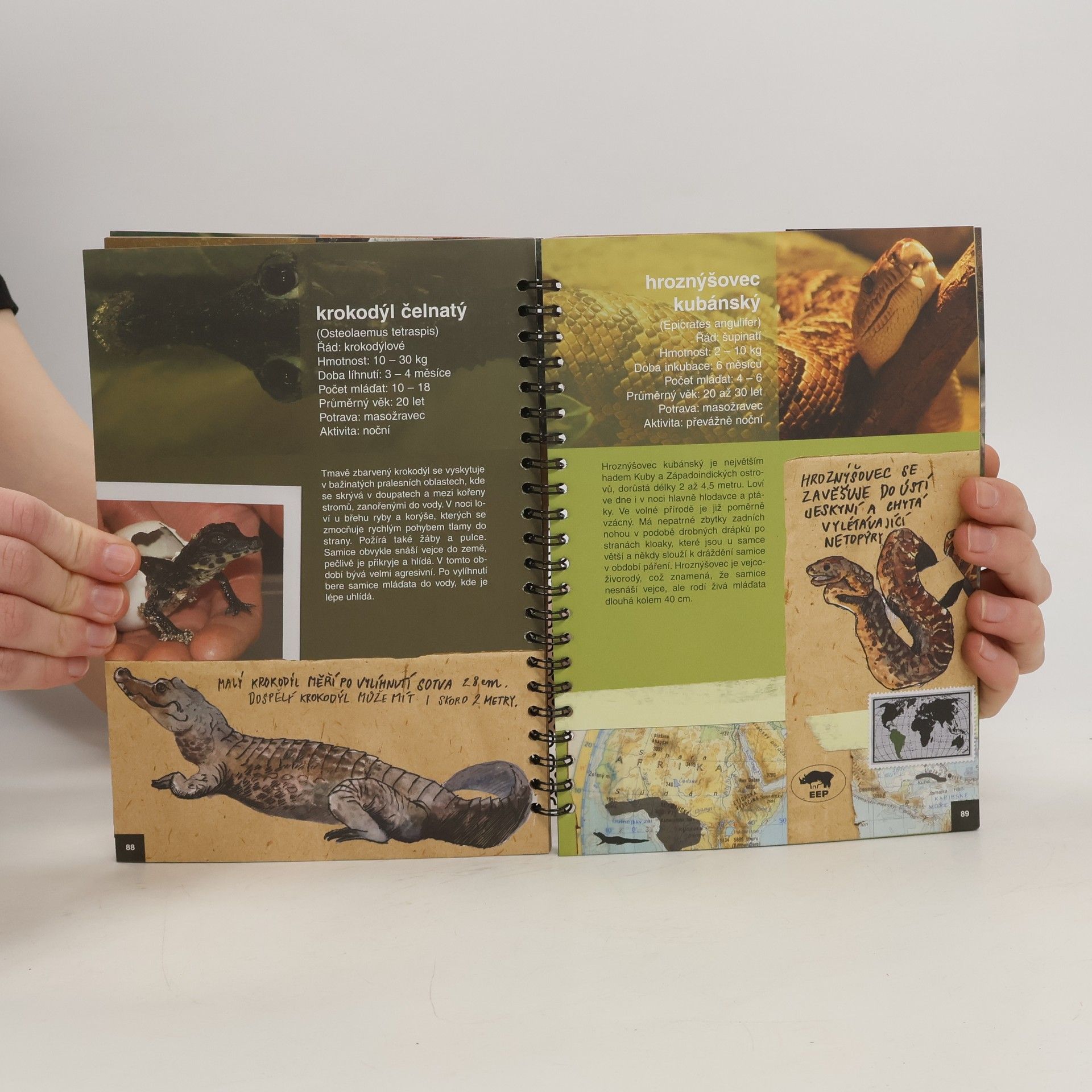Various authors Zoo Liberec. Dobrodružství z poznání