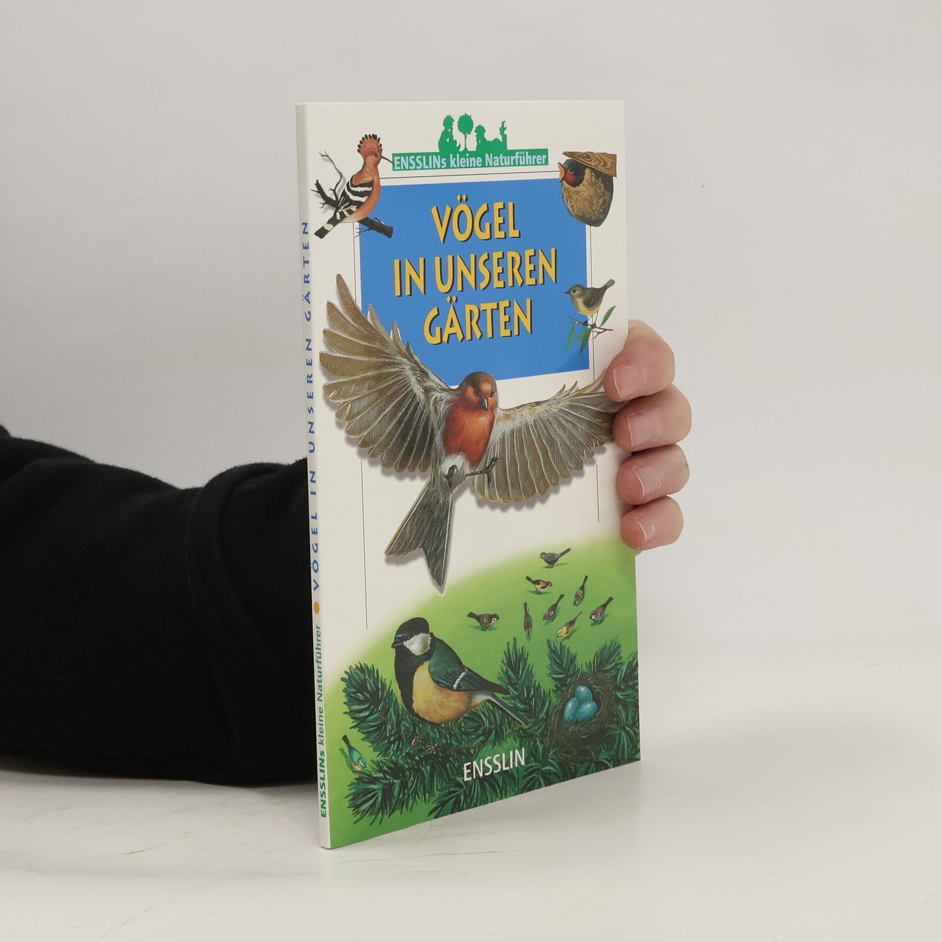 Valérie Tracqui Vögel in unseren Gärten