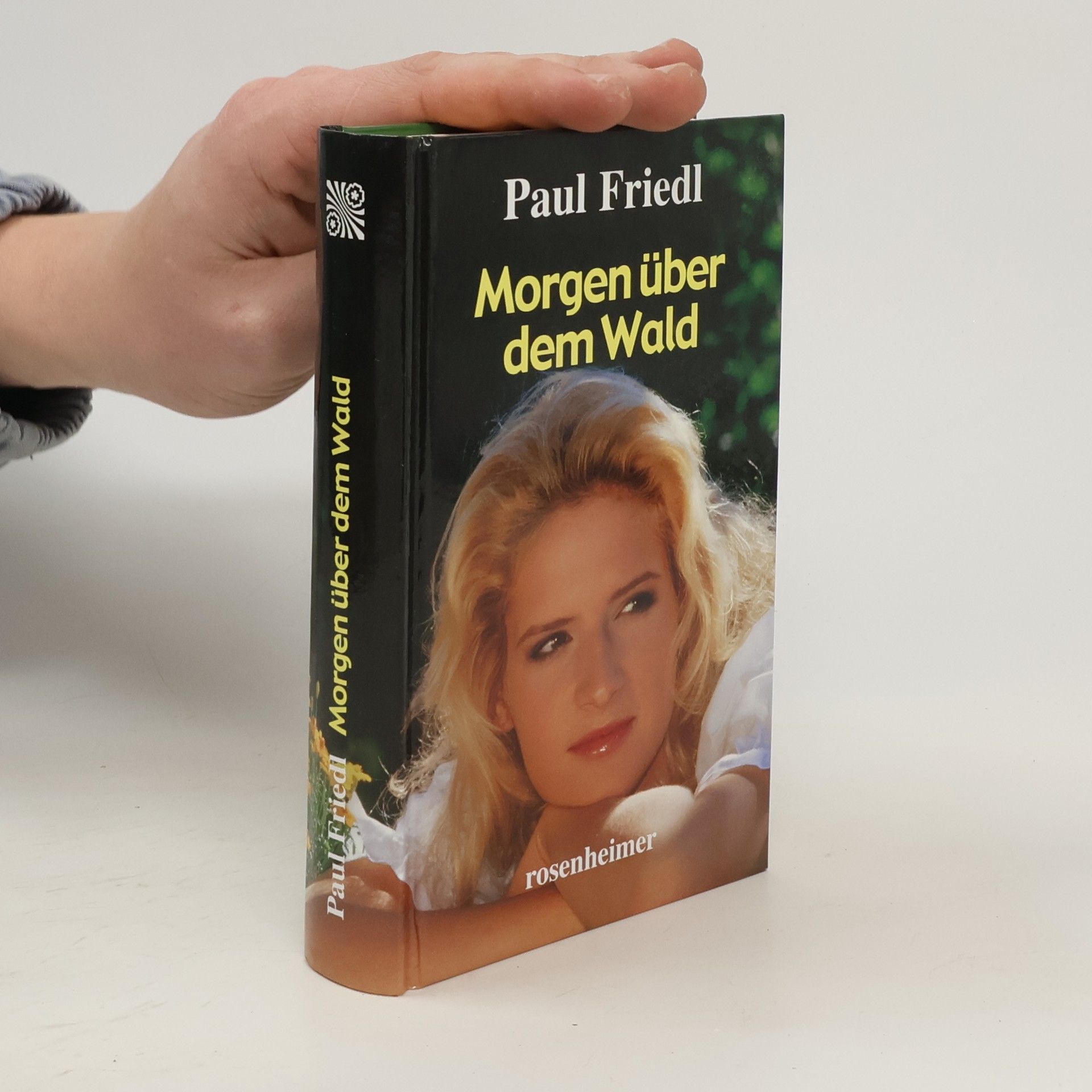 Paul Friedl Morgen über dem Wald