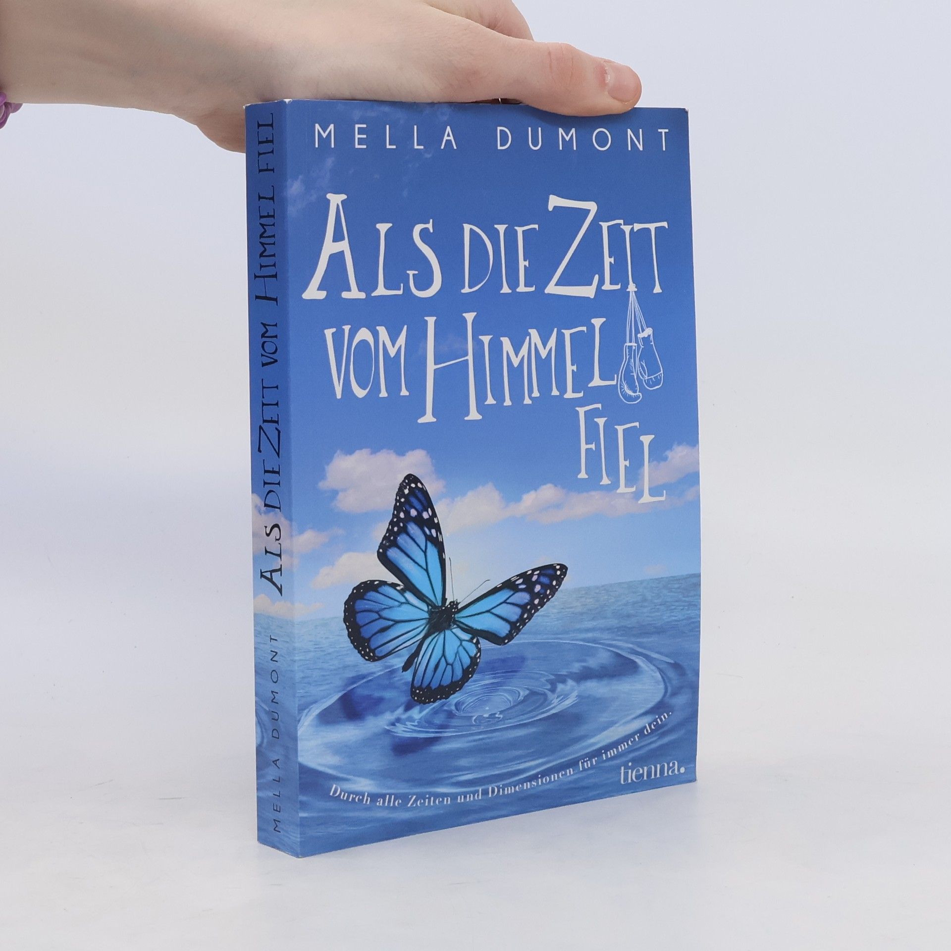 Mella Dumont Als die Zeit vom Himmel fiel
