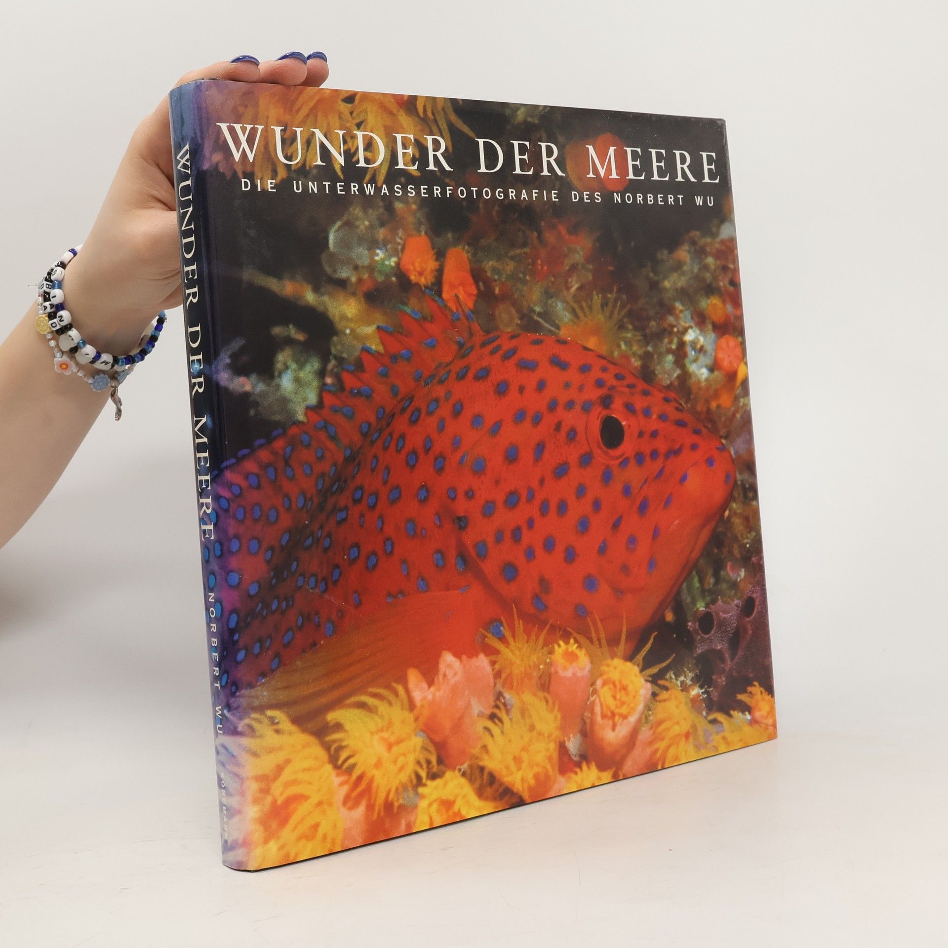 Norbert Wüpper Wunder der Meer