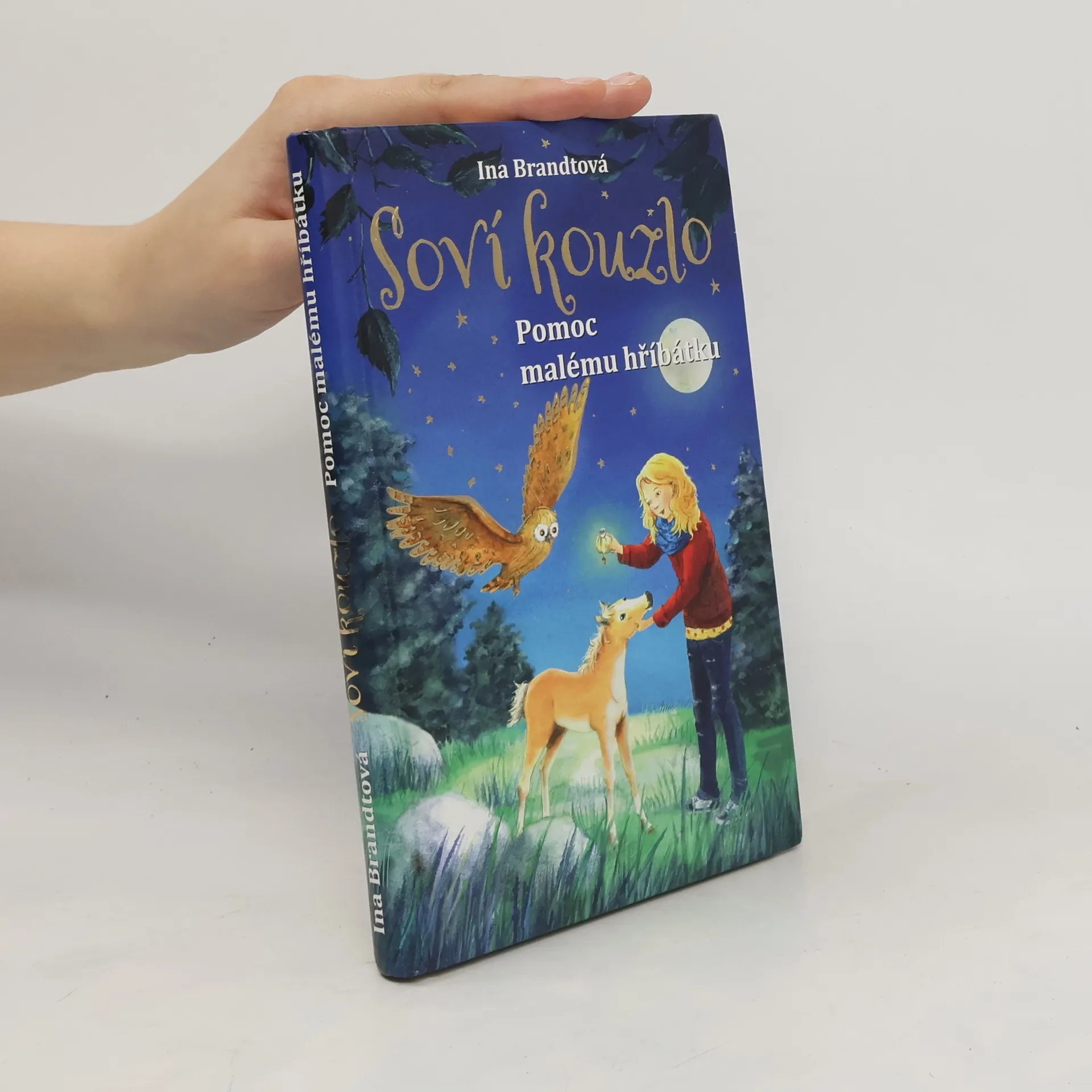 Soví kouzlo. Pomoc malému hříbátku | Book | Ina Brandt | CS